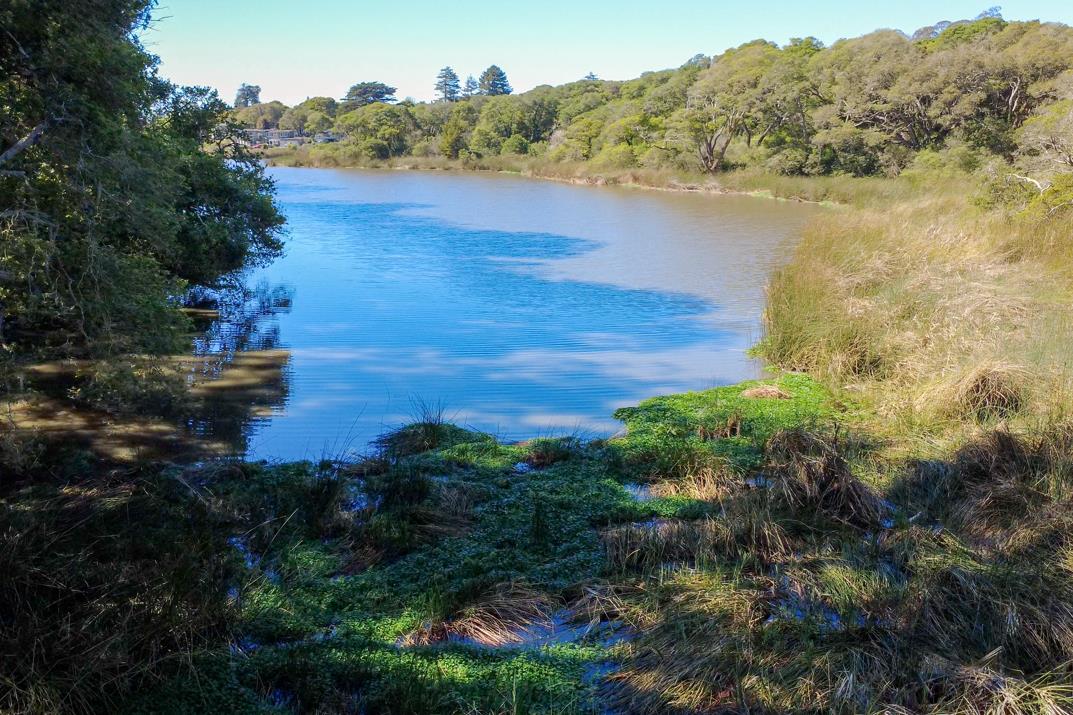 Detail Gallery Image 32 of 34 For 755 14th Ave #308,  Santa Cruz,  CA 95062 - 2 Beds | 1 Baths