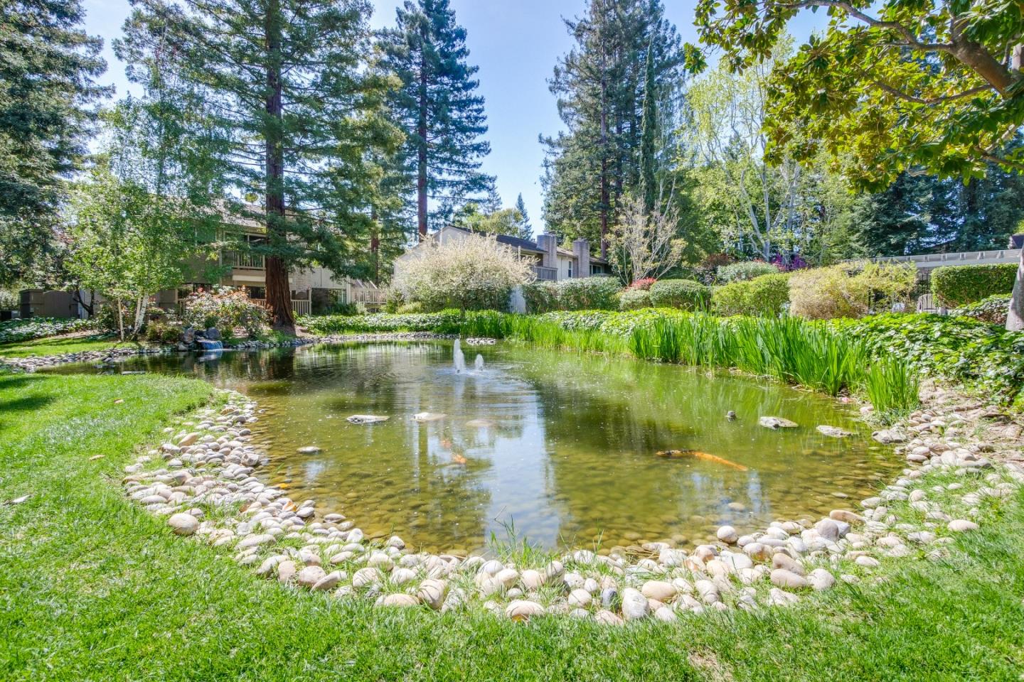 Detail Gallery Image 52 of 57 For 19816 Vineyard Ln, Saratoga,  CA 95070 - 3 Beds | 2 Baths