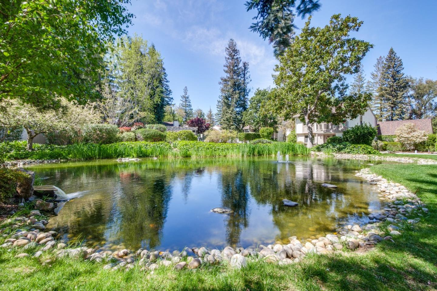 Detail Gallery Image 53 of 57 For 19816 Vineyard Ln, Saratoga,  CA 95070 - 3 Beds | 2 Baths