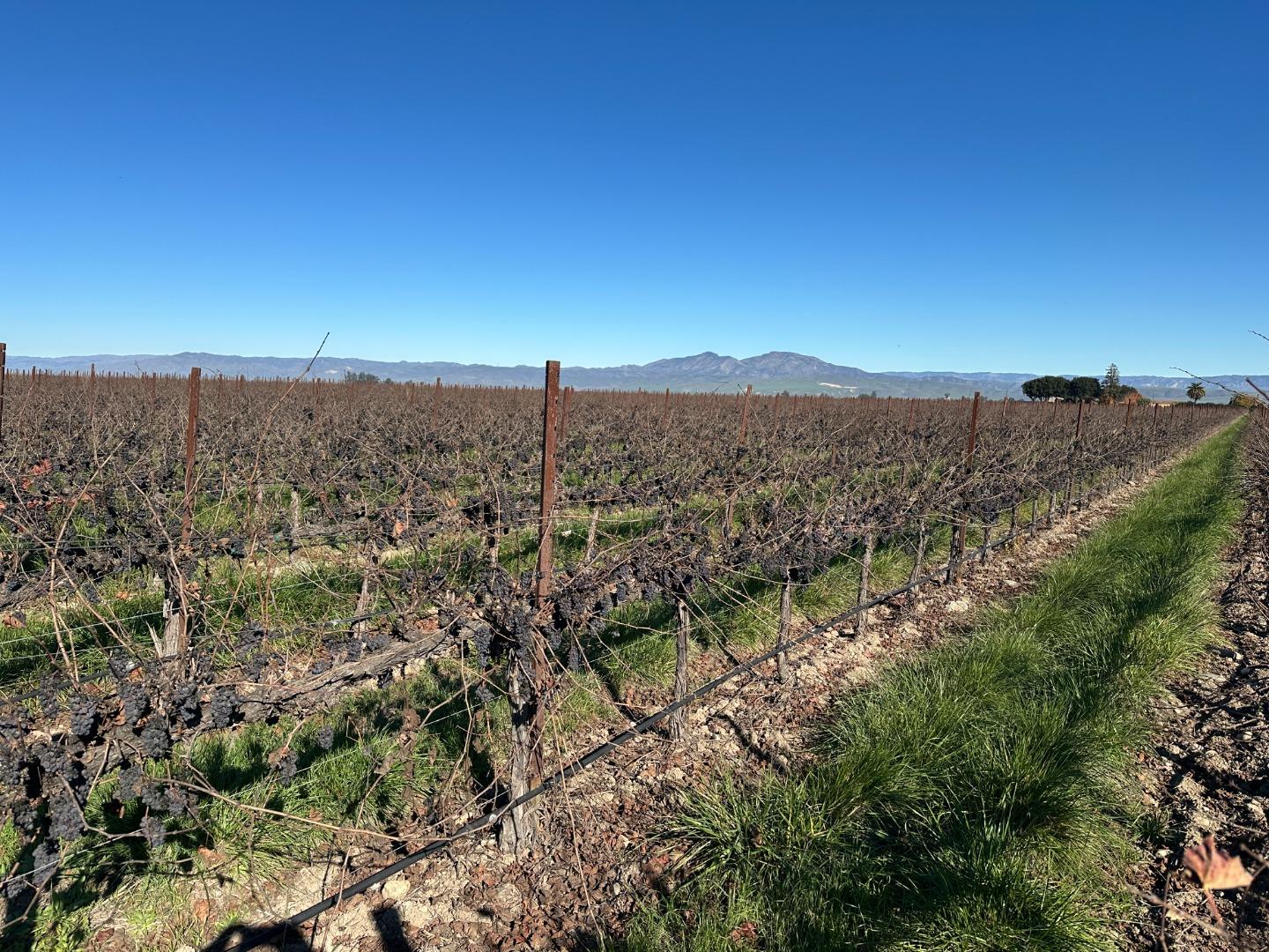 Detail Gallery Image 2 of 4 For 0 Elm, Greenfield,  CA 93927 - – Beds | – Baths