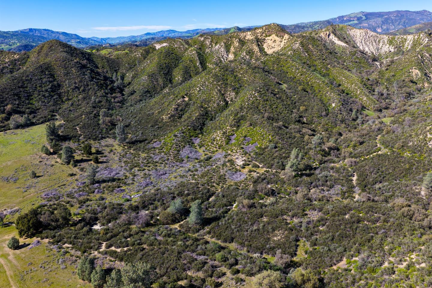 Detail Gallery Image 4 of 14 For 0 Coalinga Rd, Paicines,  CA 95043 - – Beds | – Baths