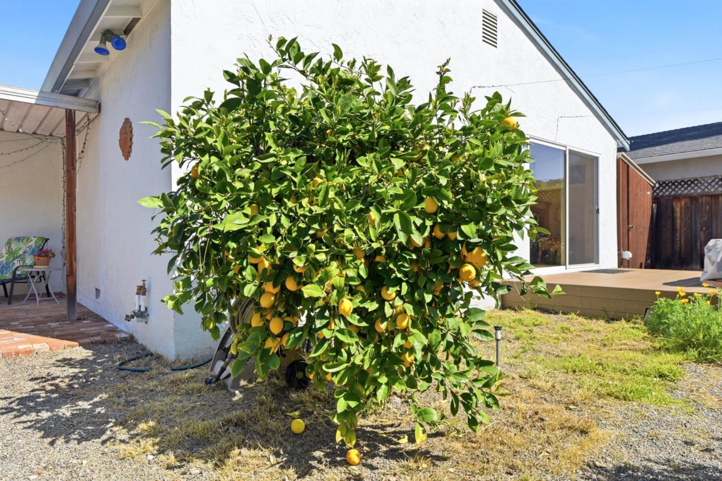 Detail Gallery Image 25 of 30 For 6225 Gunter Way, San Jose,  CA 95123 - 3 Beds | 2 Baths