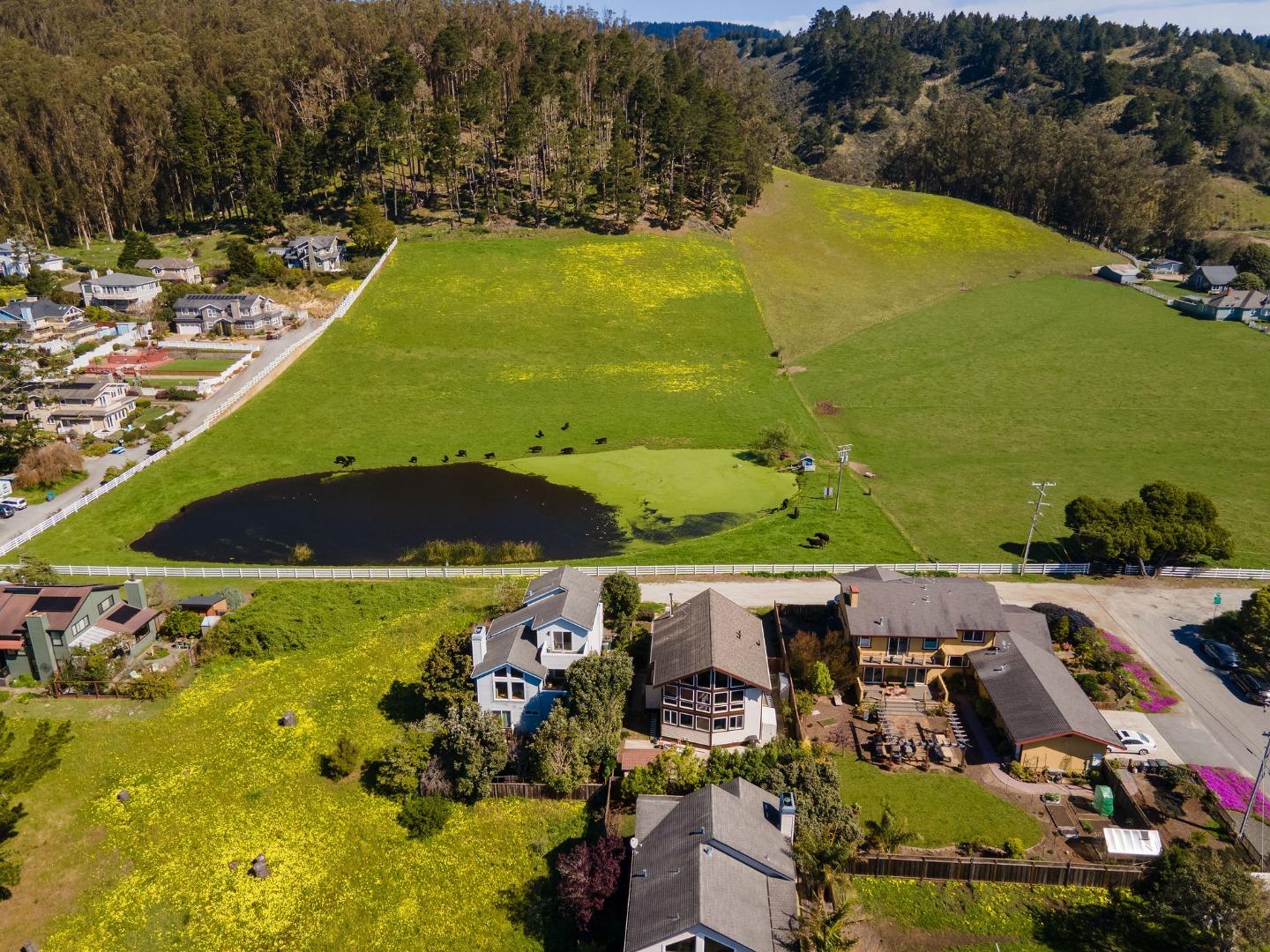 Detail Gallery Image 45 of 53 For 350 6th Ave, Half Moon Bay,  CA 94019 - 3 Beds | 2/1 Baths