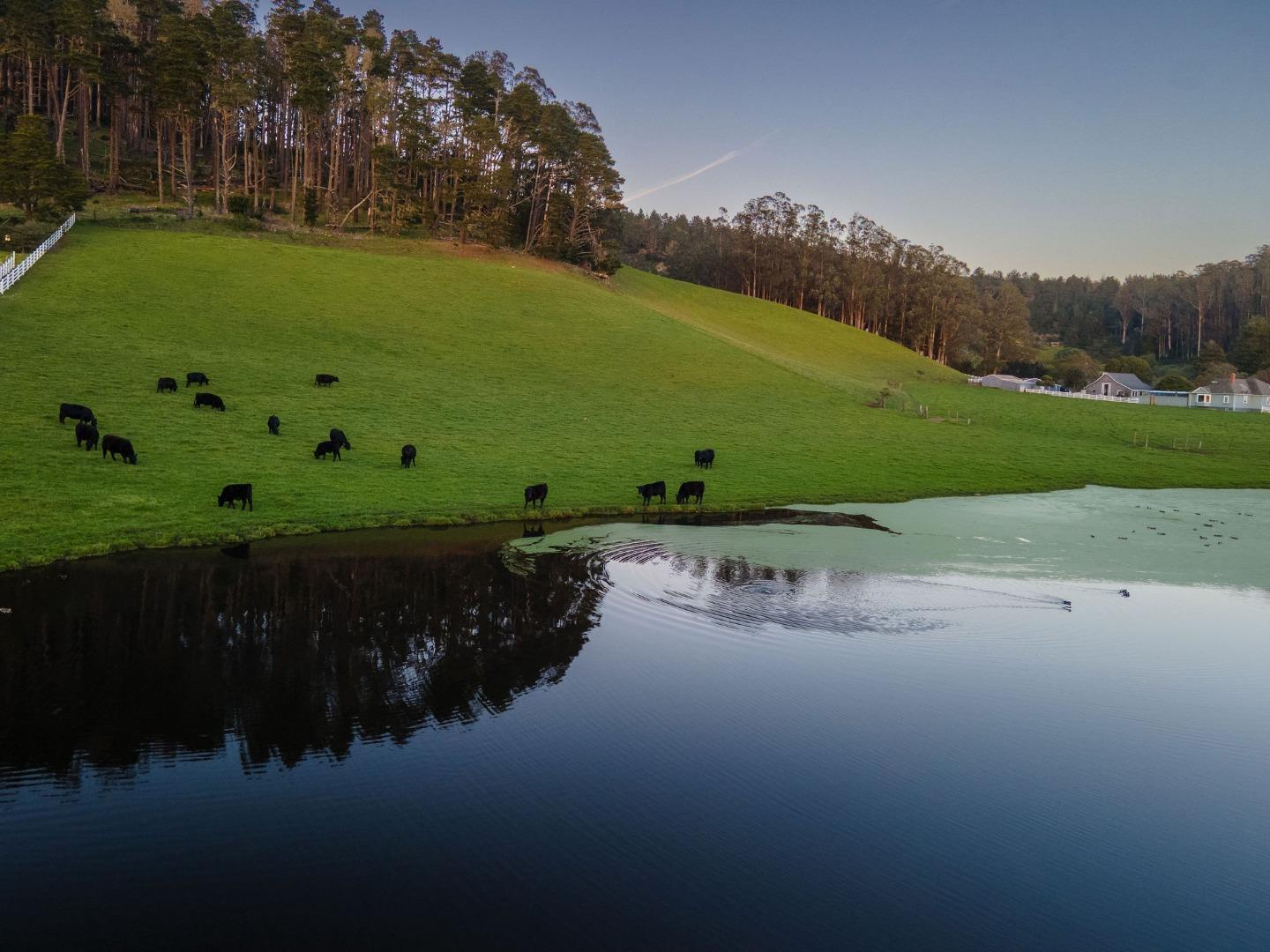 Detail Gallery Image 46 of 53 For 350 6th Ave, Half Moon Bay,  CA 94019 - 3 Beds | 2/1 Baths