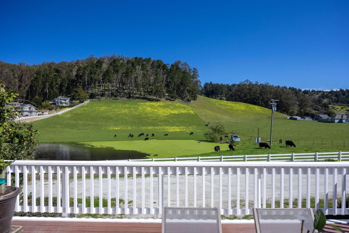 Detail Gallery Image 7 of 53 For 350 6th Ave, Half Moon Bay,  CA 94019 - 3 Beds | 2/1 Baths