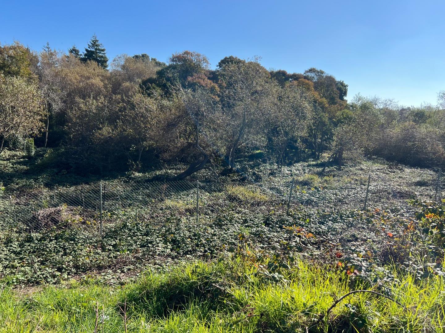 Detail Gallery Image 5 of 13 For 91 Alta Vista Ave, Watsonville,  CA 95076 - – Beds | – Baths