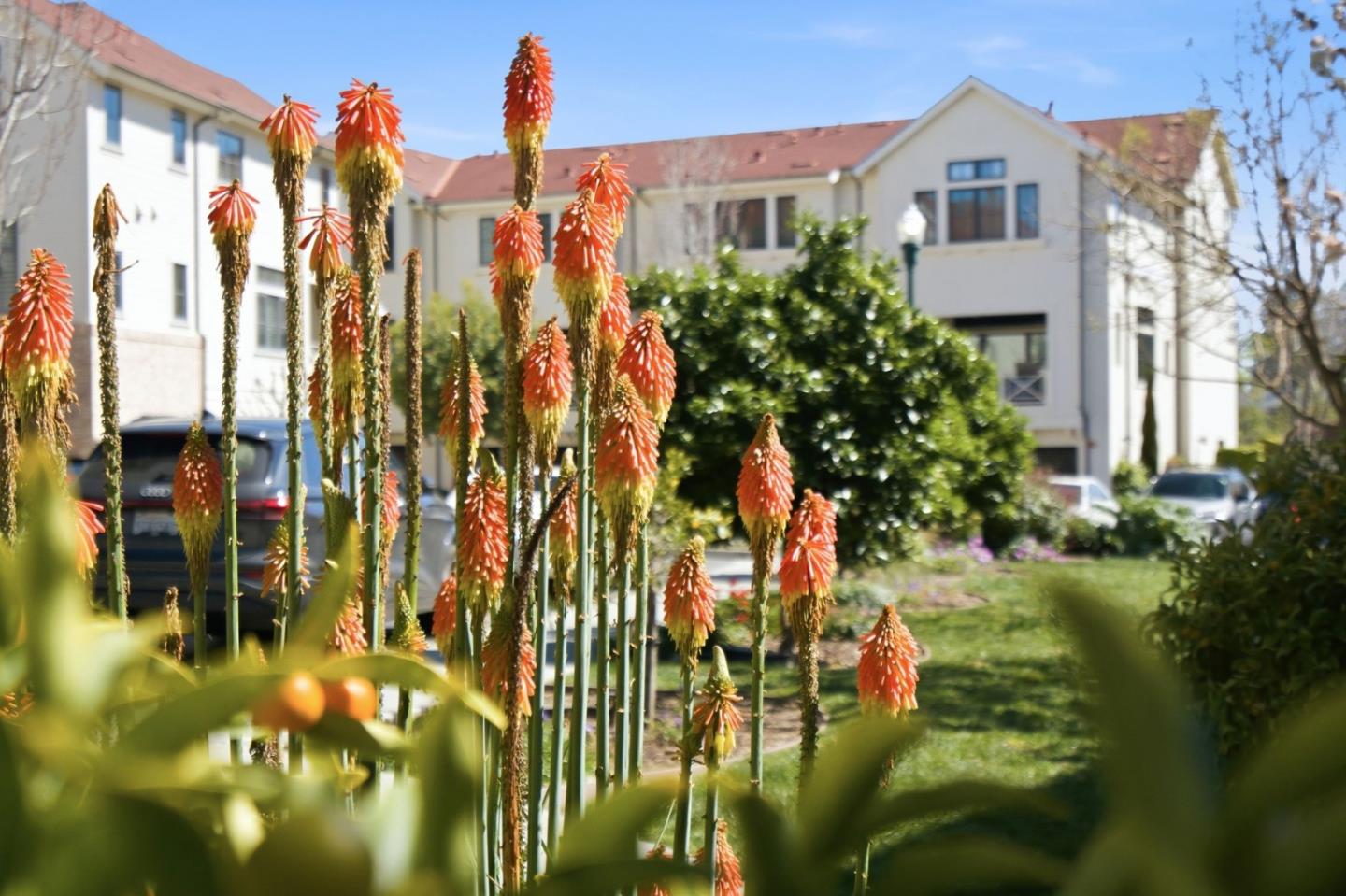 Detail Gallery Image 60 of 66 For 136 Lottie Ln, Campbell,  CA 95008 - 4 Beds | 3/1 Baths
