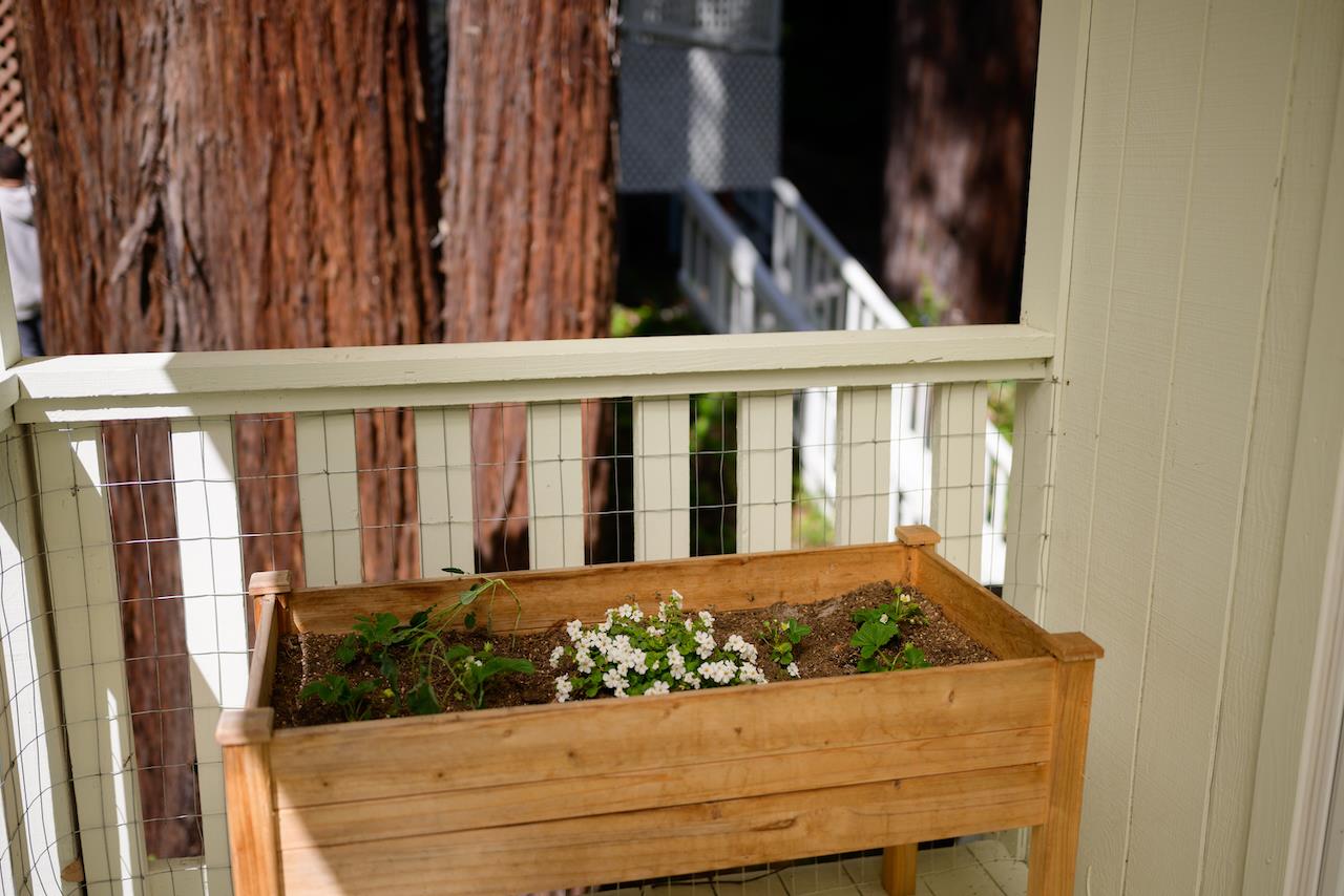 Detail Gallery Image 69 of 111 For 10735 Westwood Rd, Felton,  CA 95018 - 4 Beds | 2 Baths