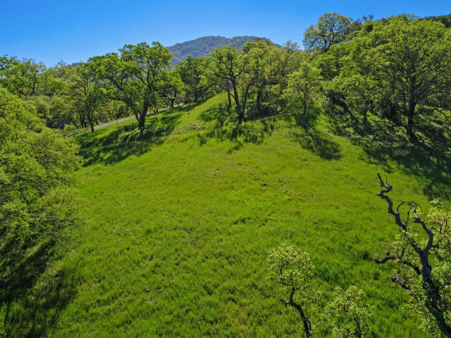 Detail Gallery Image 2 of 10 For 17556 Chesbro Lake Dr, Morgan Hill,  CA 95037 - – Beds | – Baths