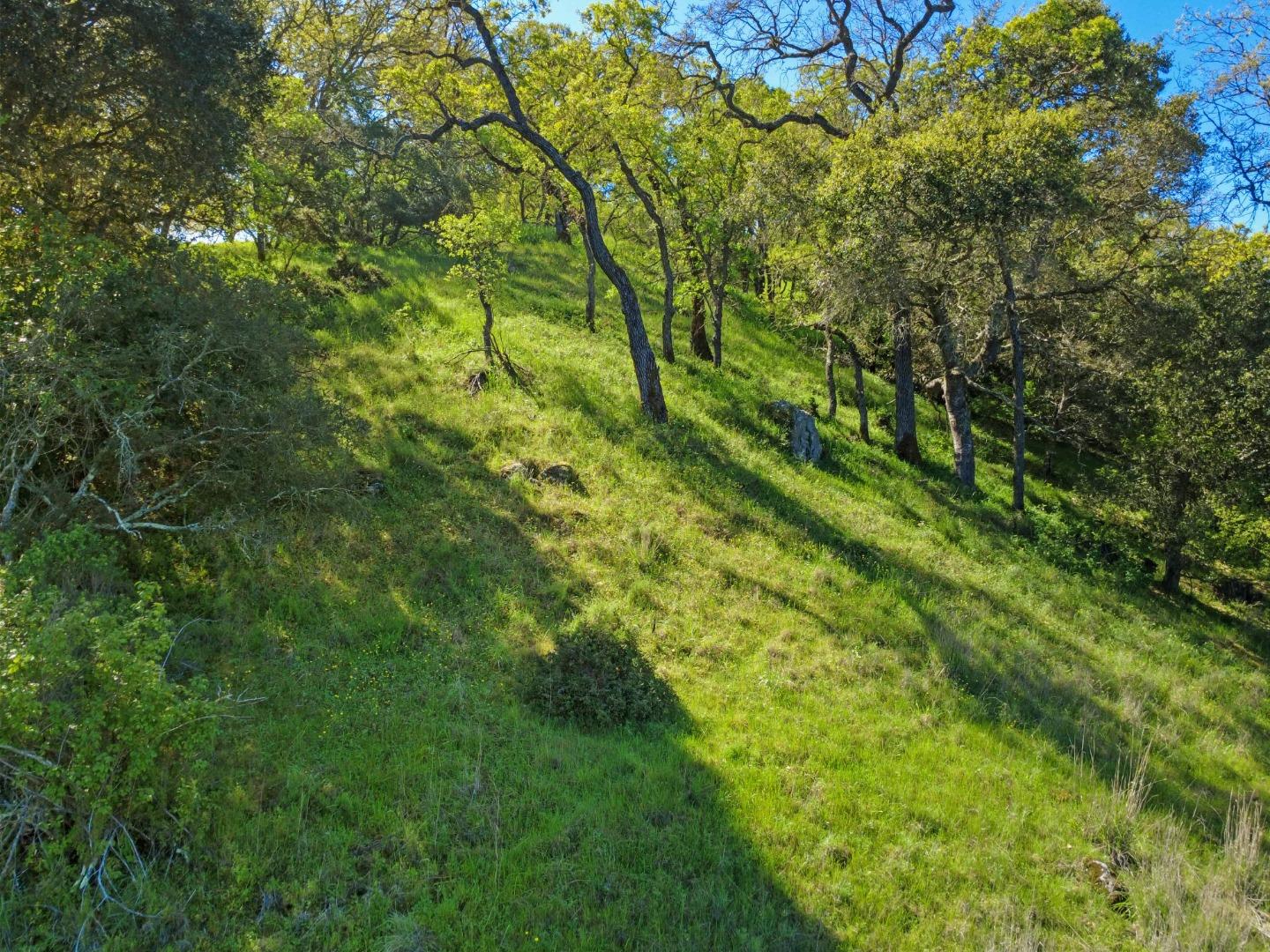 Detail Gallery Image 7 of 10 For 17556 Chesbro Lake Dr, Morgan Hill,  CA 95037 - – Beds | – Baths