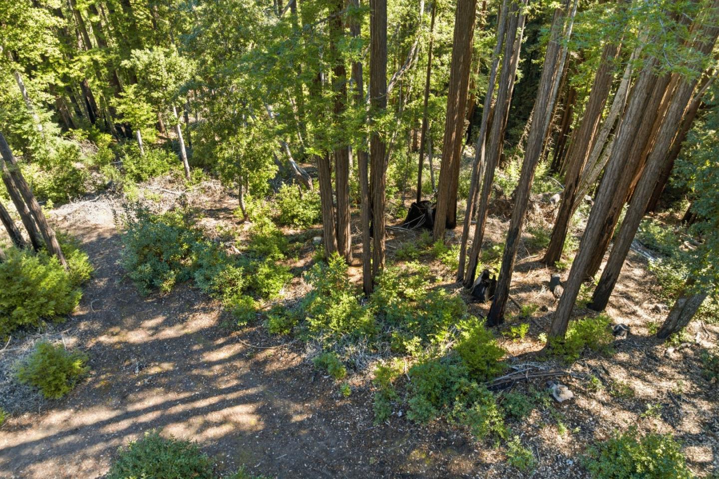 Detail Gallery Image 10 of 27 For 0 Forest Way, Brookdale,  CA 95007 - – Beds | – Baths