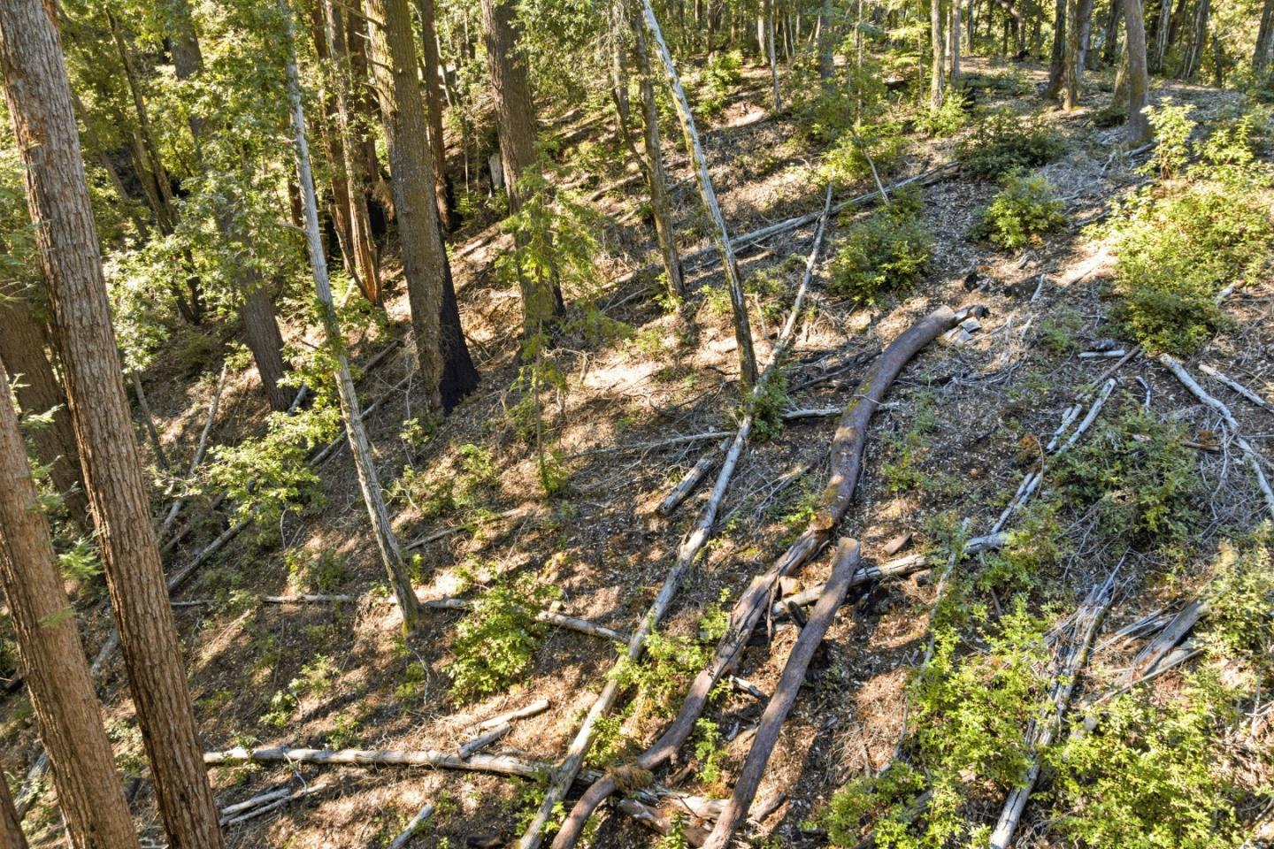 Detail Gallery Image 11 of 27 For 0 Forest Way, Brookdale,  CA 95007 - – Beds | – Baths