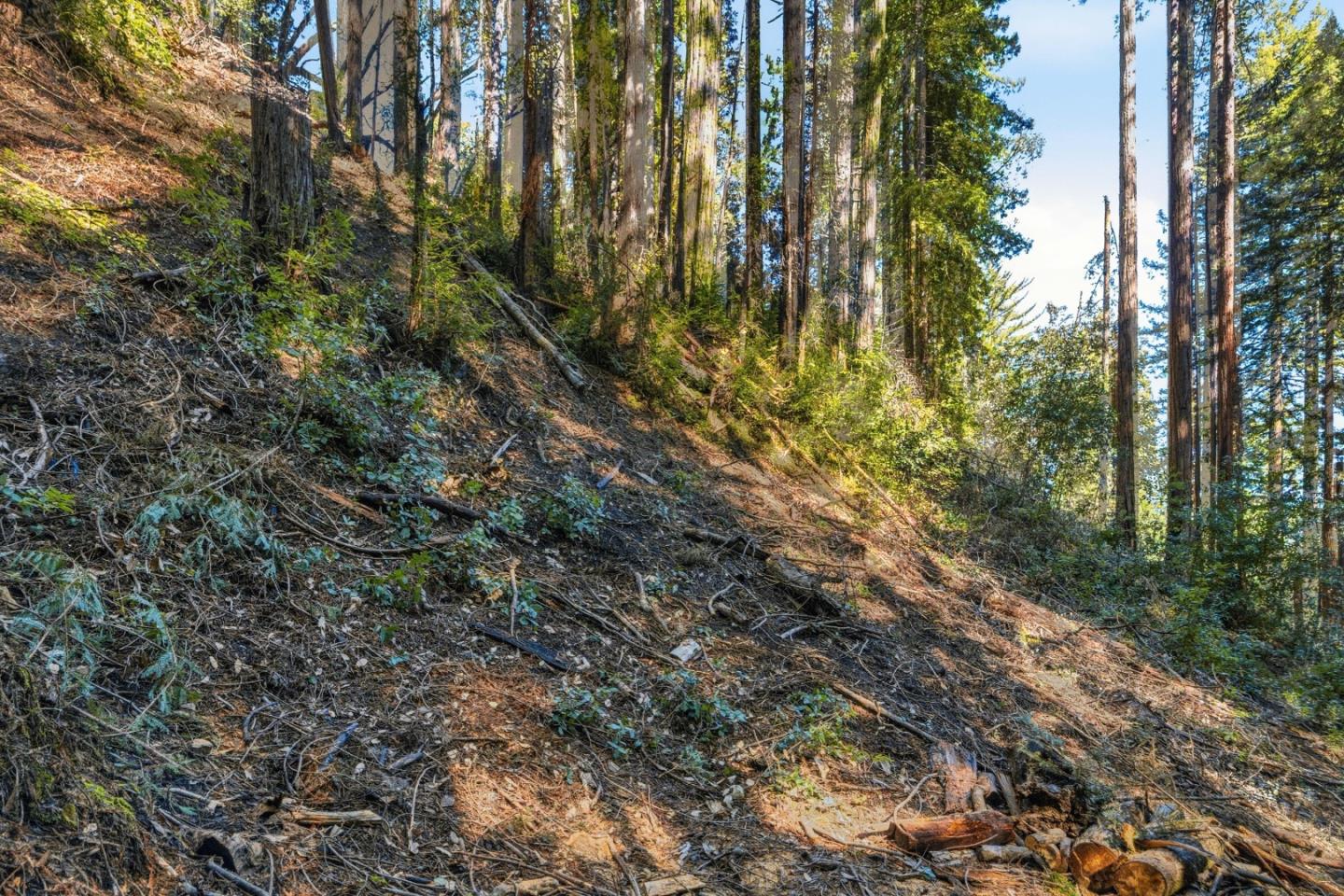 Detail Gallery Image 12 of 27 For 0 Forest Way, Brookdale,  CA 95007 - – Beds | – Baths