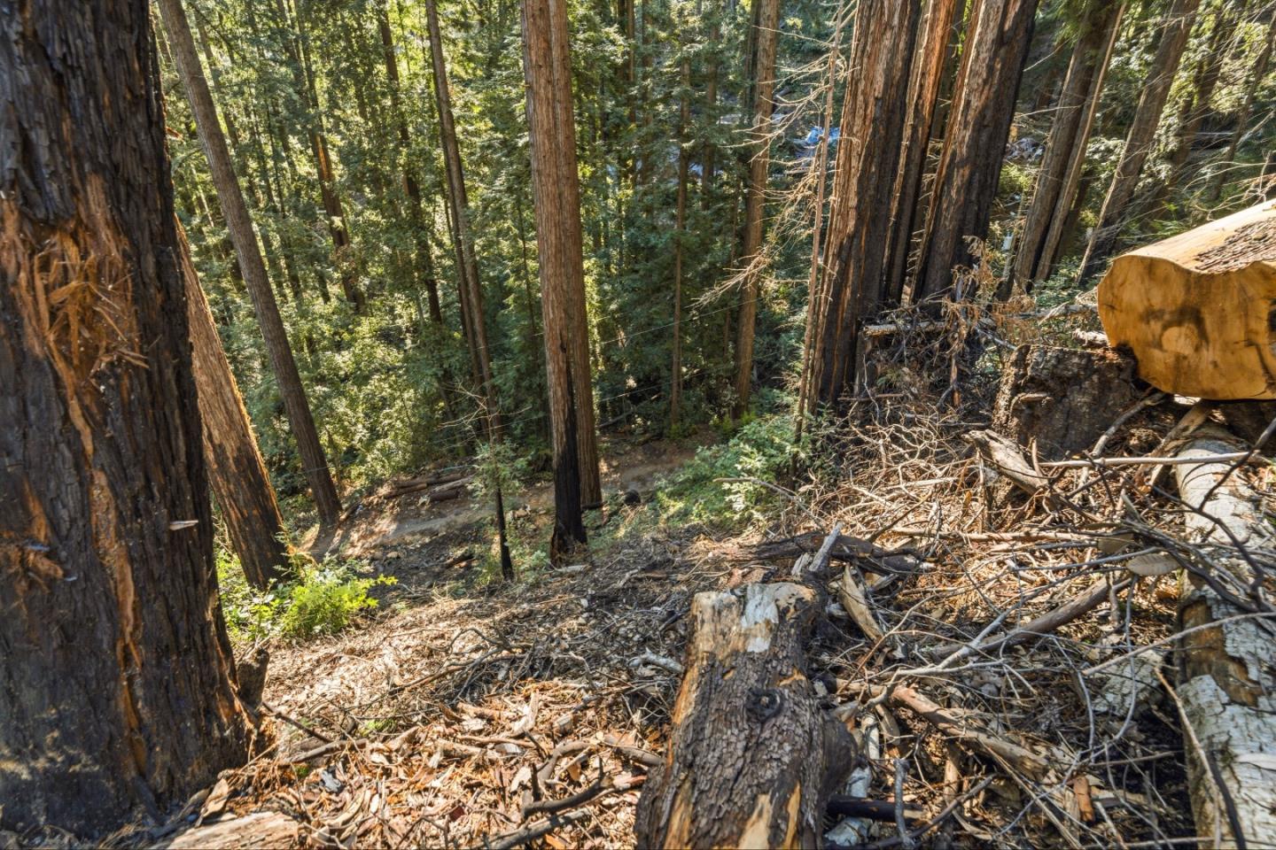 Detail Gallery Image 13 of 27 For 0 Forest Way, Brookdale,  CA 95007 - – Beds | – Baths