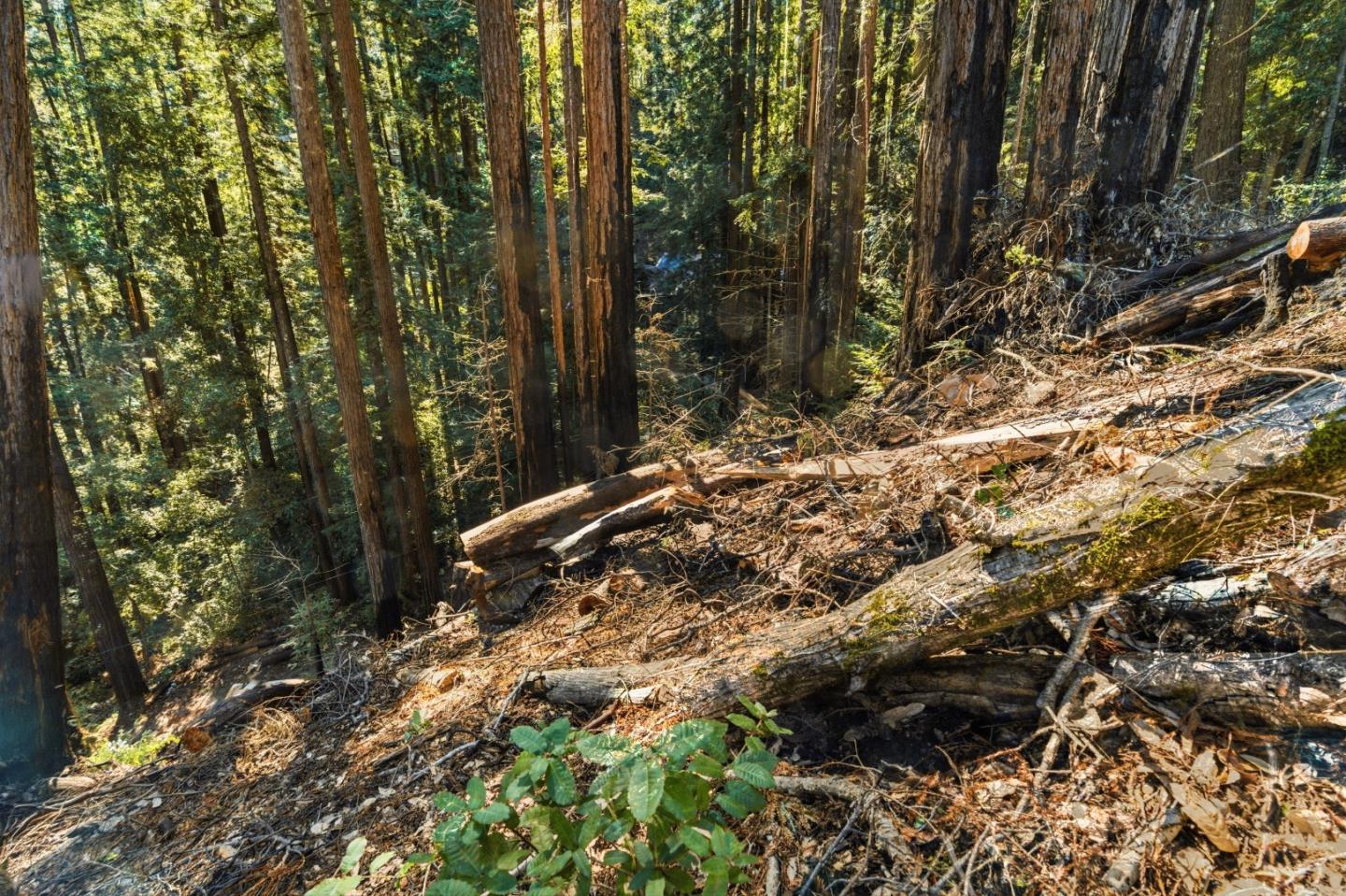 Detail Gallery Image 14 of 27 For 0 Forest Way, Brookdale,  CA 95007 - – Beds | – Baths