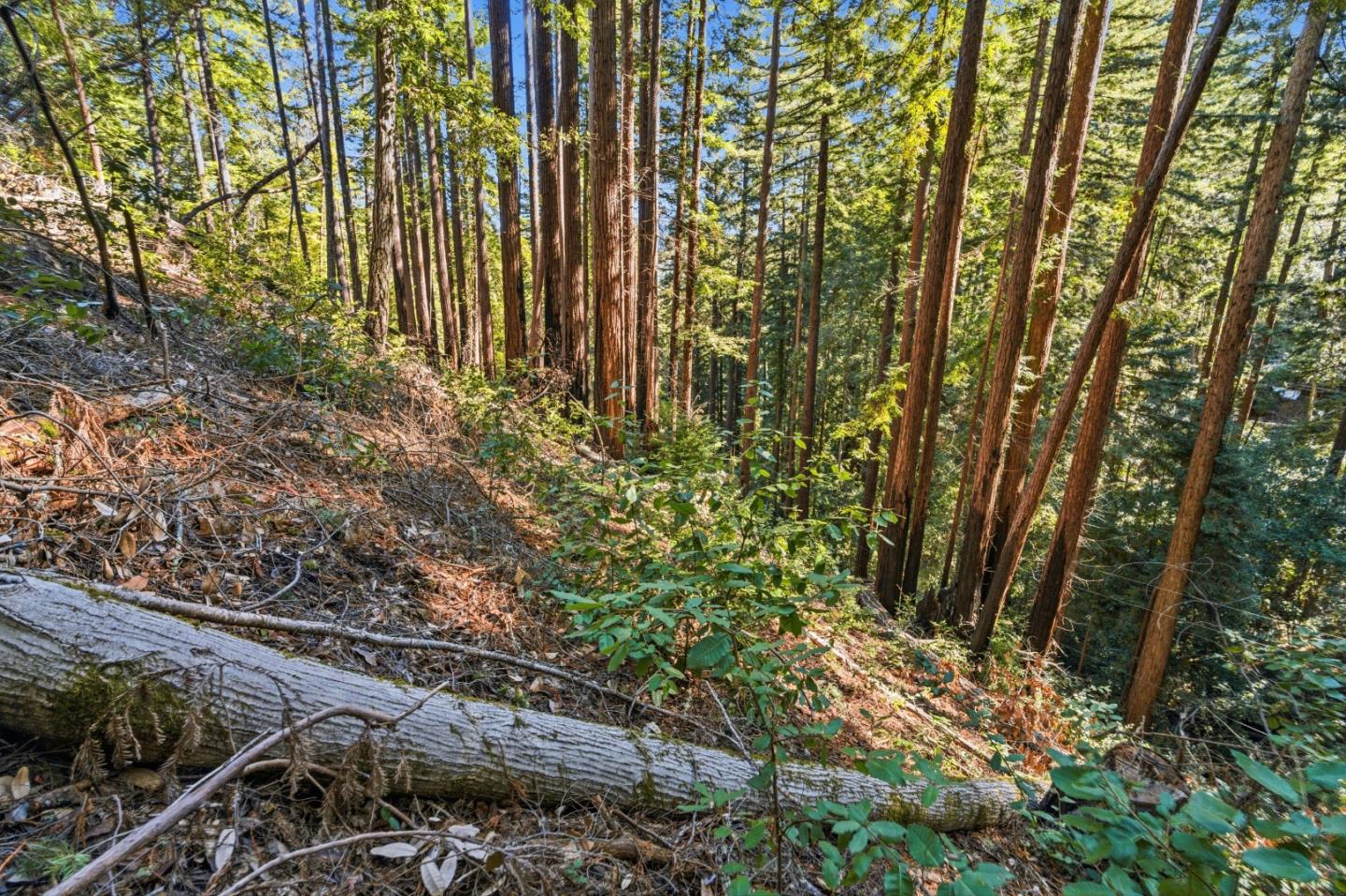 Detail Gallery Image 15 of 27 For 0 Forest Way, Brookdale,  CA 95007 - – Beds | – Baths