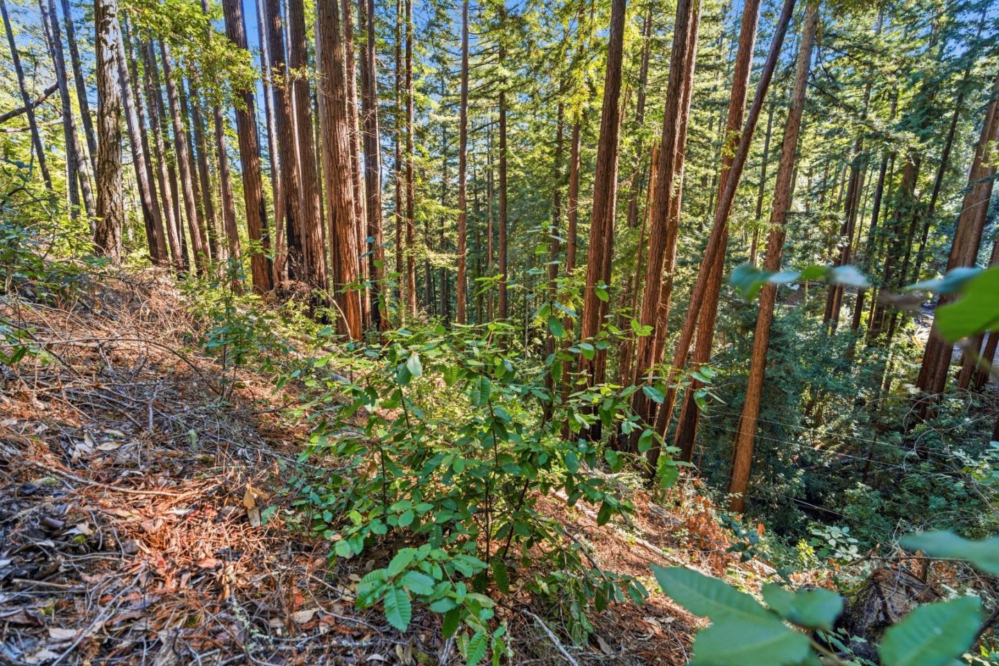 Detail Gallery Image 17 of 27 For 0 Forest Way, Brookdale,  CA 95007 - – Beds | – Baths