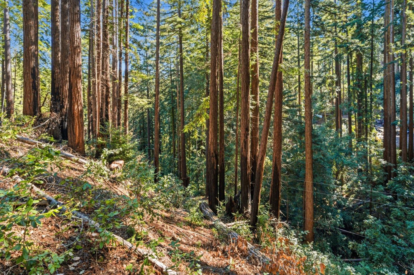 Detail Gallery Image 18 of 27 For 0 Forest Way, Brookdale,  CA 95007 - – Beds | – Baths