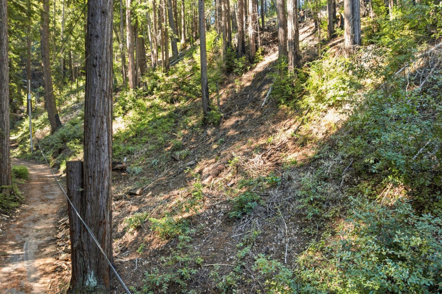 Detail Gallery Image 2 of 27 For 0 Forest Way, Brookdale,  CA 95007 - – Beds | – Baths