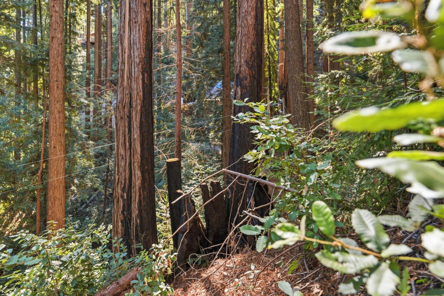 Detail Gallery Image 24 of 27 For 0 Forest Way, Brookdale,  CA 95007 - – Beds | – Baths