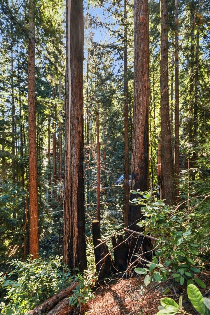 Detail Gallery Image 25 of 27 For 0 Forest Way, Brookdale,  CA 95007 - – Beds | – Baths