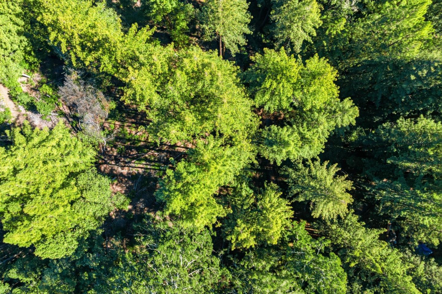 Detail Gallery Image 27 of 27 For 0 Forest Way, Brookdale,  CA 95007 - – Beds | – Baths