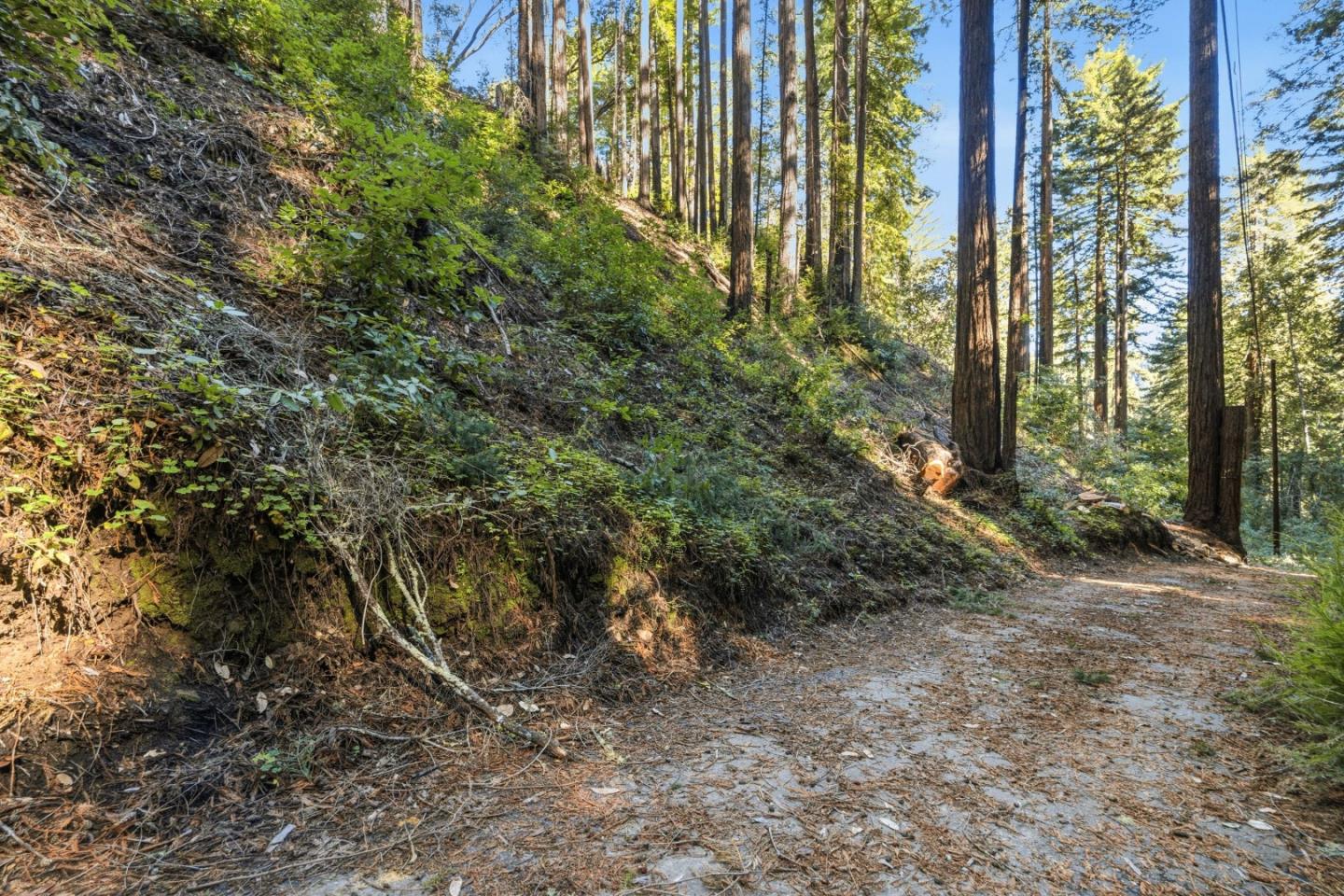 Detail Gallery Image 4 of 27 For 0 Forest Way, Brookdale,  CA 95007 - – Beds | – Baths