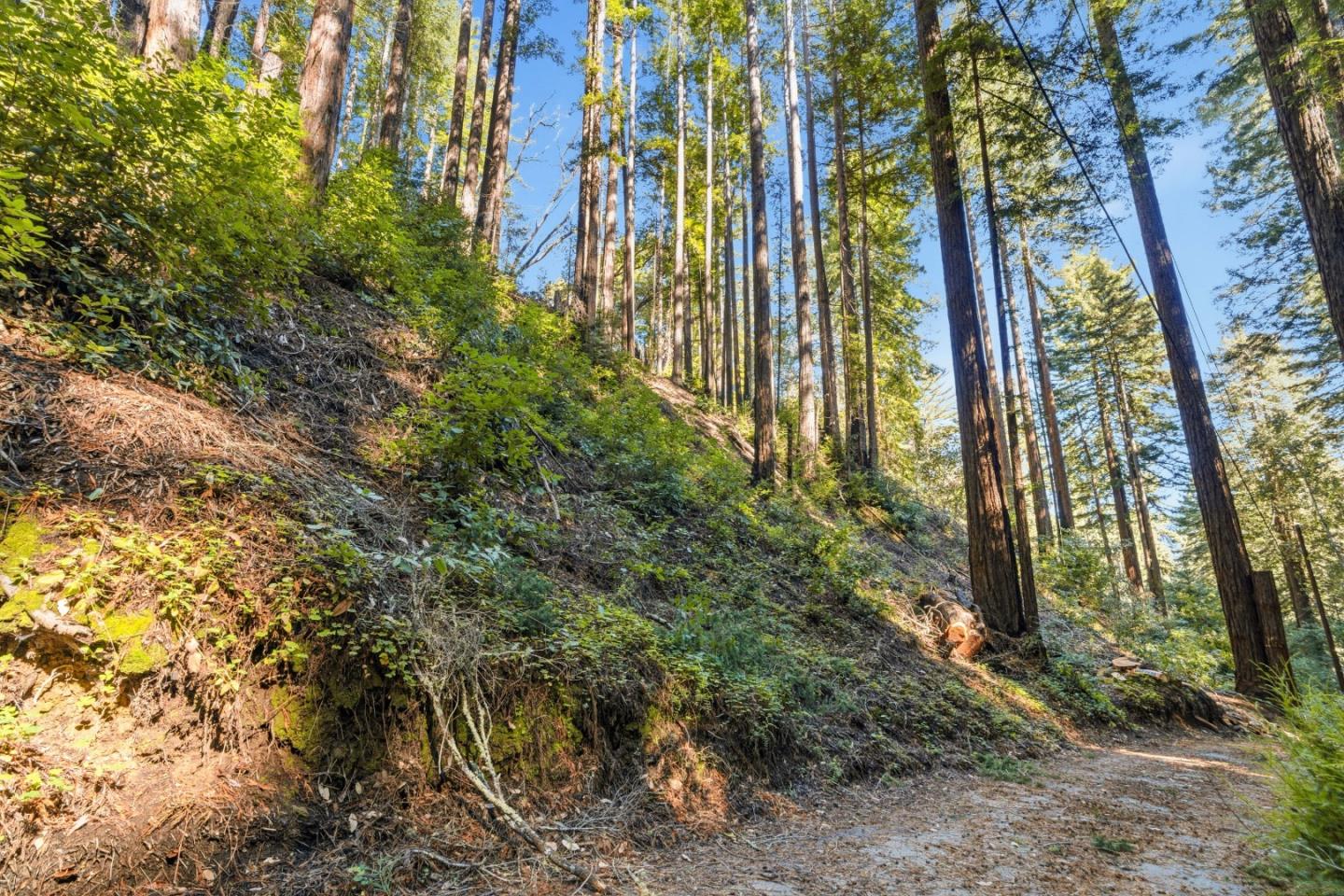 Detail Gallery Image 5 of 27 For 0 Forest Way, Brookdale,  CA 95007 - – Beds | – Baths