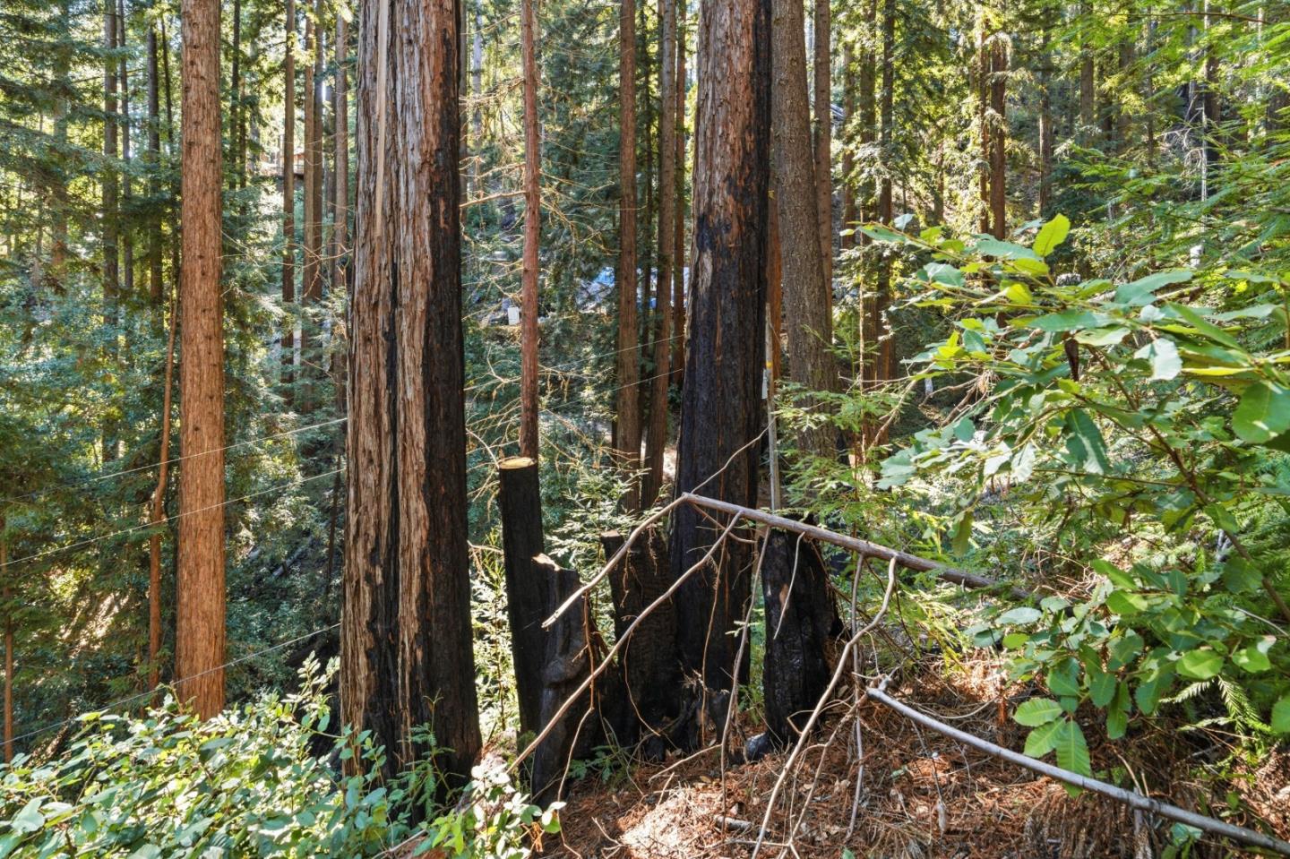 Detail Gallery Image 6 of 27 For 0 Forest Way, Brookdale,  CA 95007 - – Beds | – Baths