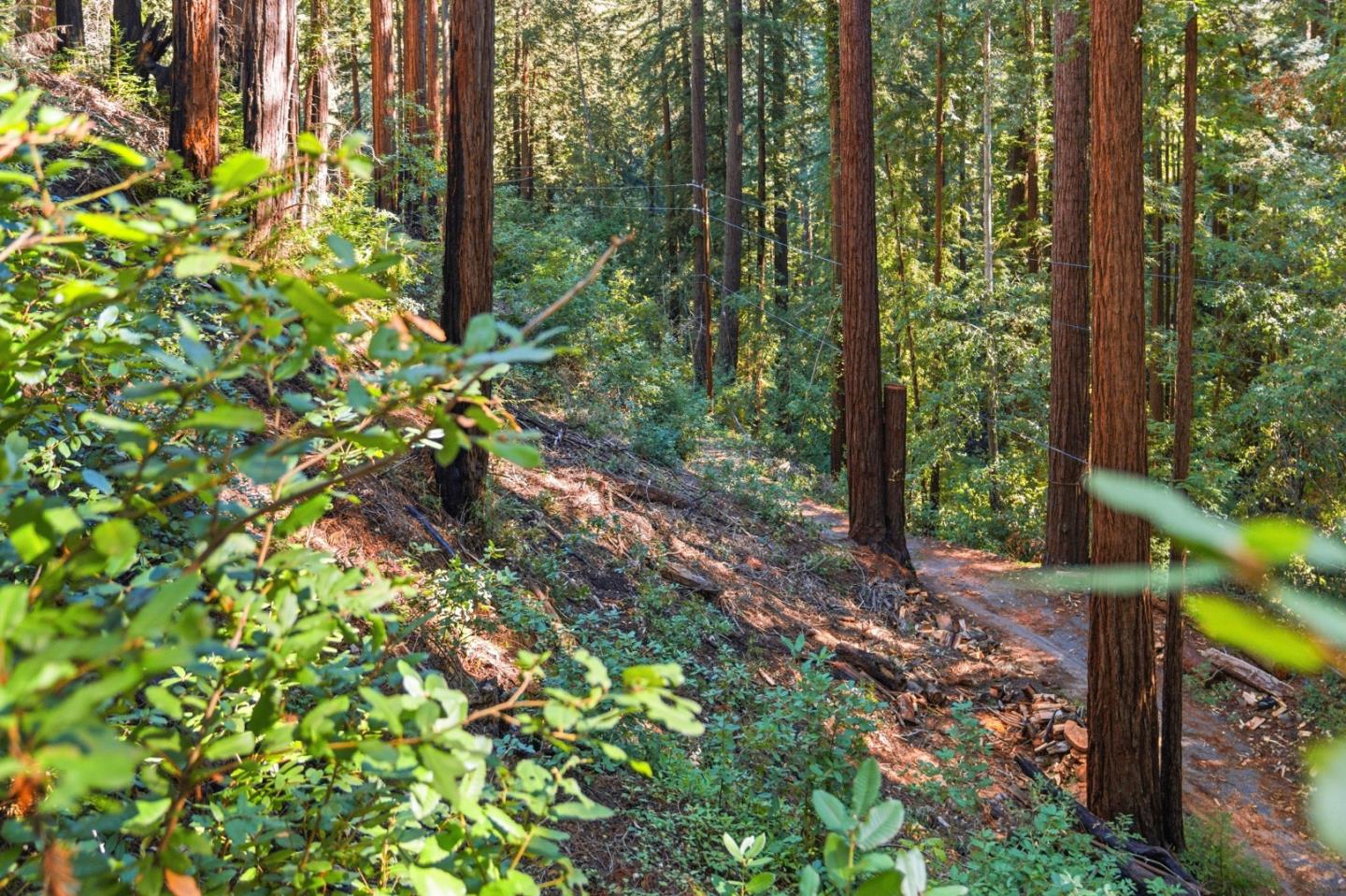 Detail Gallery Image 7 of 27 For 0 Forest Way, Brookdale,  CA 95007 - – Beds | – Baths