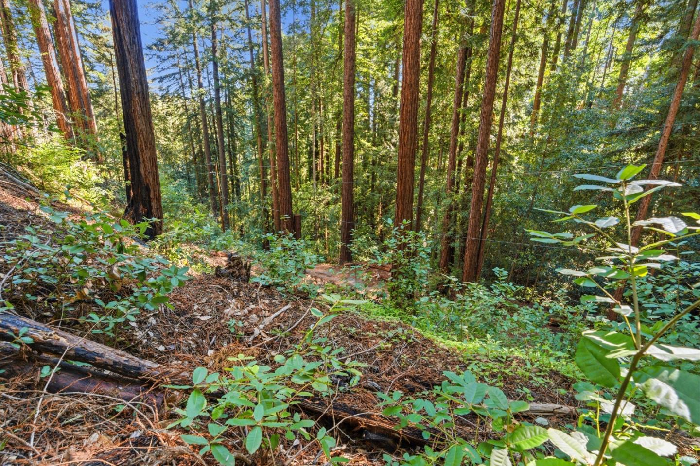 Detail Gallery Image 8 of 27 For 0 Forest Way, Brookdale,  CA 95007 - – Beds | – Baths