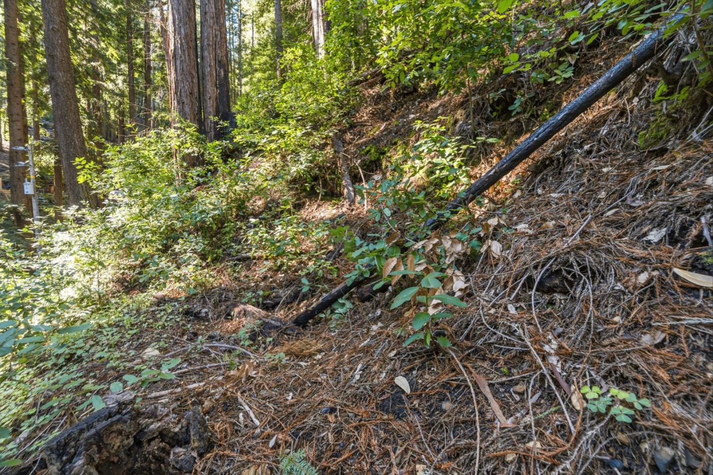 Detail Gallery Image 9 of 27 For 0 Forest Way, Brookdale,  CA 95007 - – Beds | – Baths