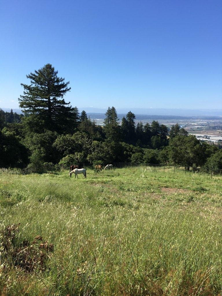 Detail Gallery Image 13 of 60 For 30 Pacific View Ter, Watsonville,  CA 95076 - 4 Beds | 2 Baths