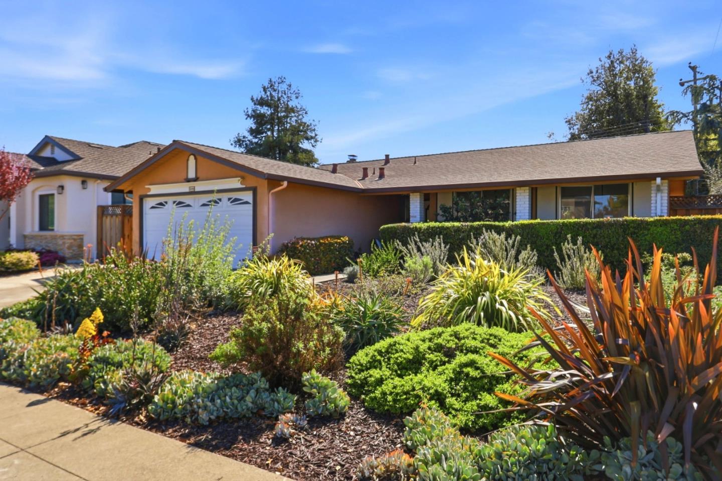 Detail Gallery Image 3 of 36 For 5948 Royal Ann Dr, San Jose,  CA 95129 - 3 Beds | 2 Baths