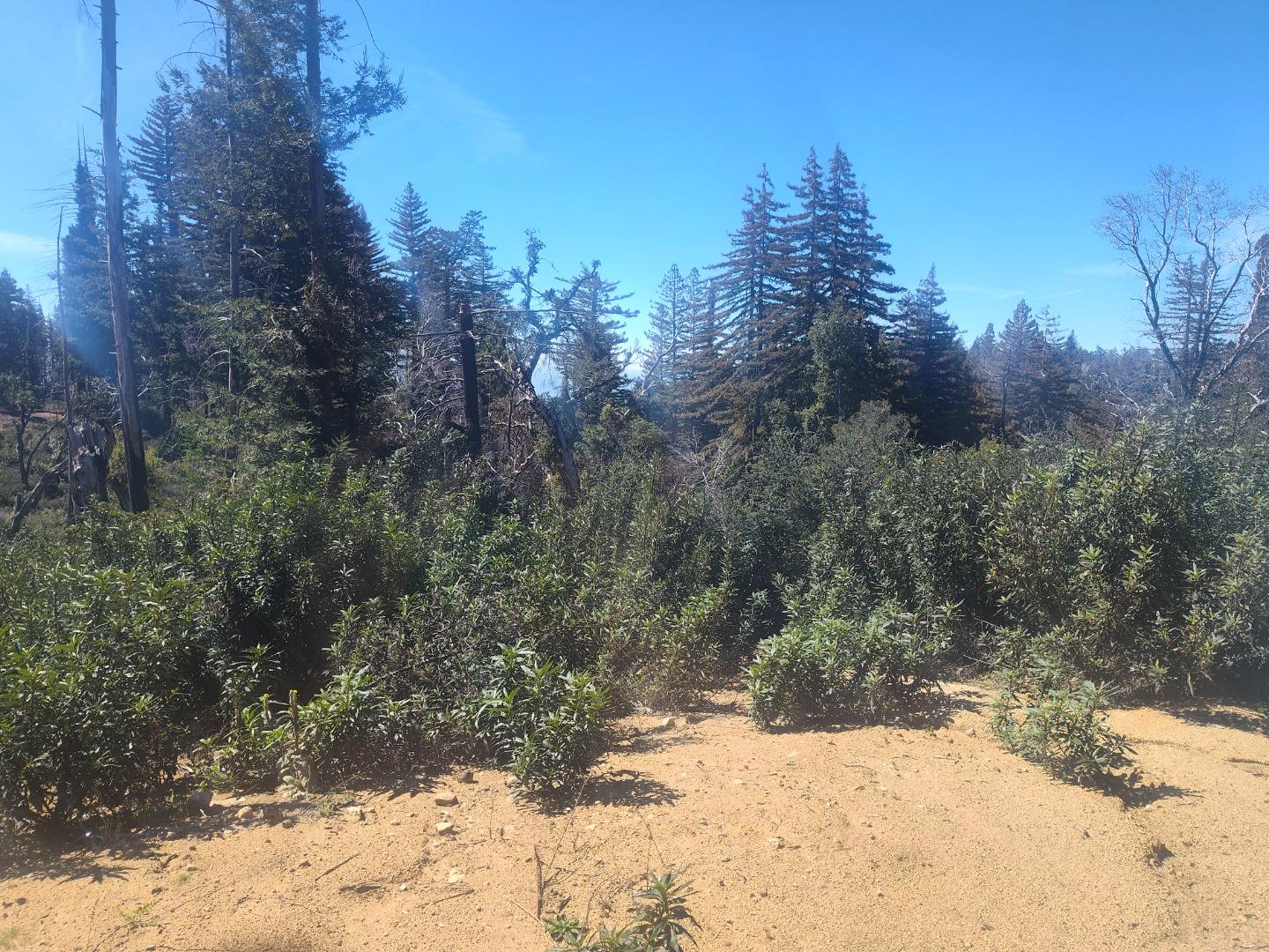 Detail Gallery Image 8 of 17 For 297 Robles Dr, Santa Cruz,  CA 95060 - 3 Beds | 2 Baths