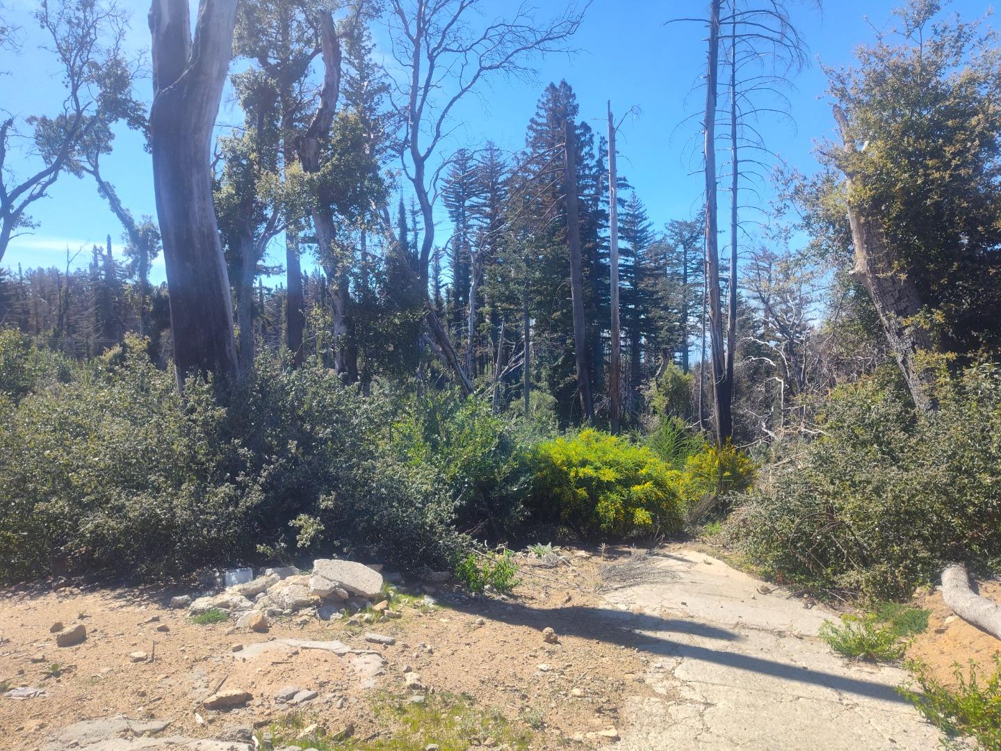 Detail Gallery Image 9 of 17 For 297 Robles Dr, Santa Cruz,  CA 95060 - 3 Beds | 2 Baths