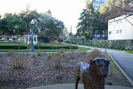 Detail Gallery Image 32 of 35 For 818 W Grant Pl, San Mateo,  CA 94402 - 3 Beds | 2/1 Baths