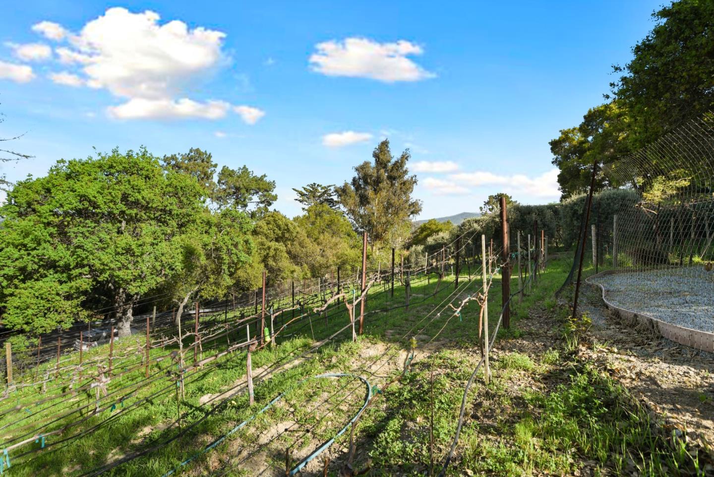 Detail Gallery Image 32 of 39 For 18782 Withey Rd, Monte Sereno,  CA 95030 - 4 Beds | 3/1 Baths