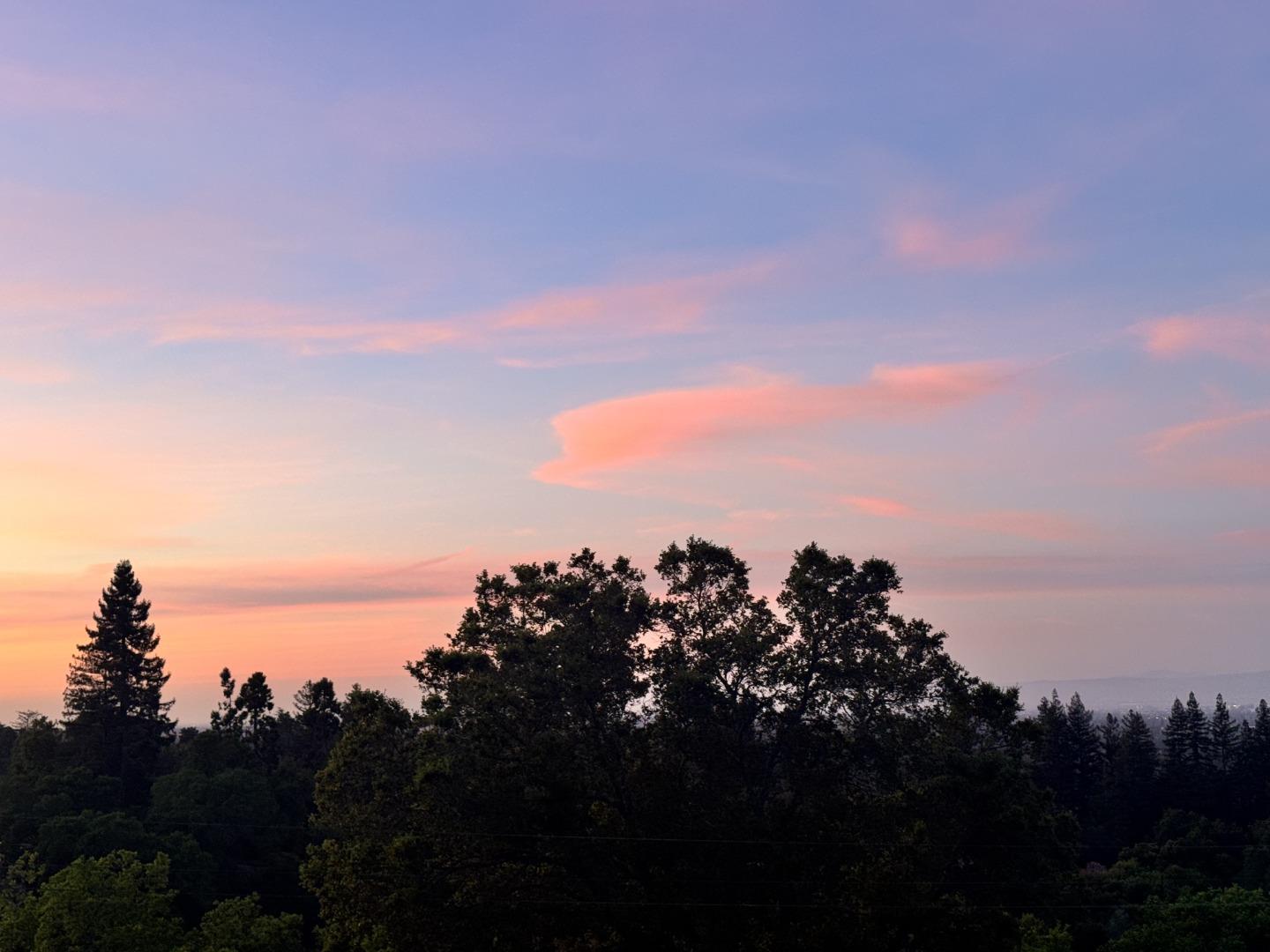 Detail Gallery Image 35 of 39 For 18782 Withey Rd, Monte Sereno,  CA 95030 - 4 Beds | 3/1 Baths