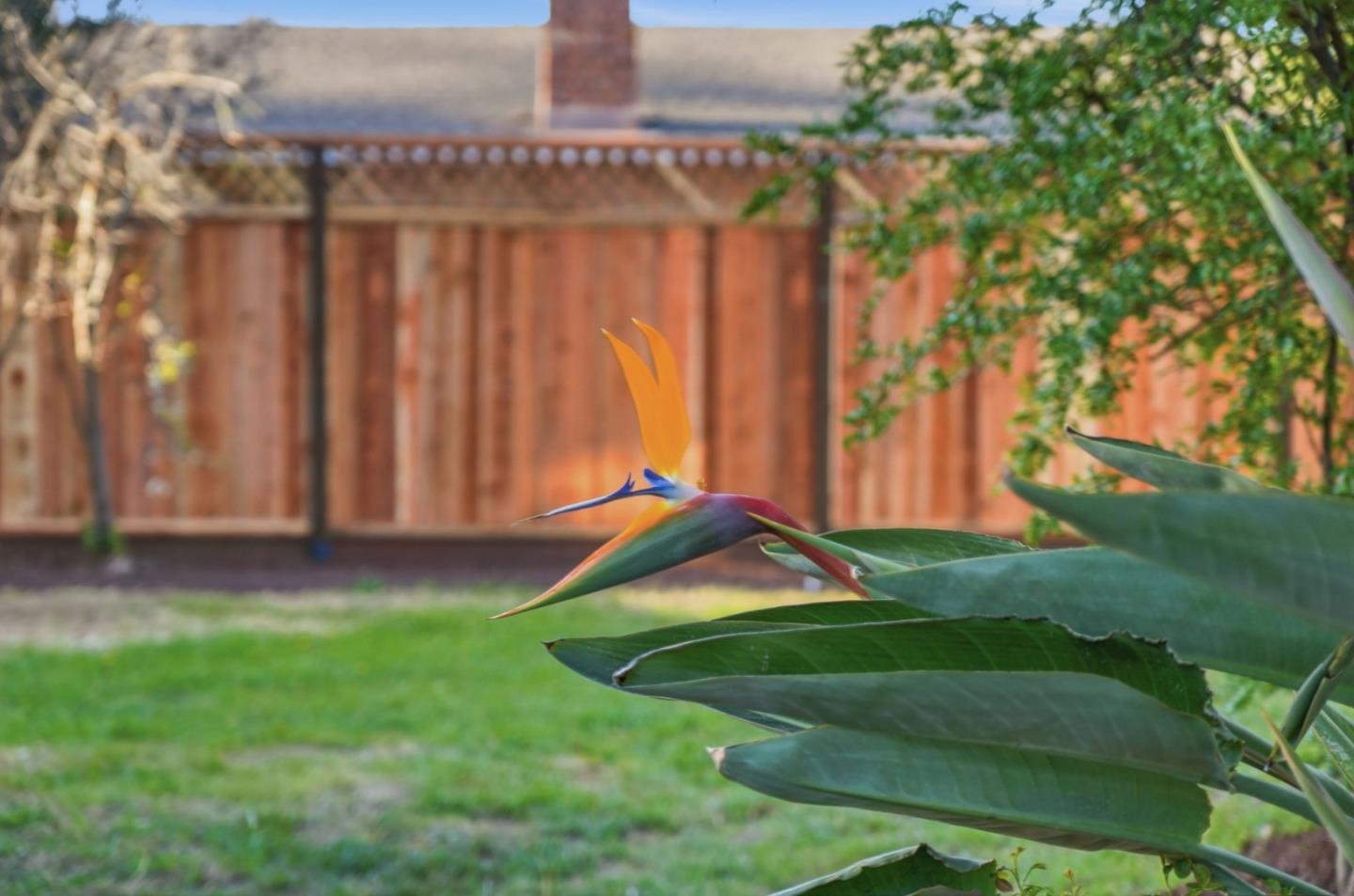 Detail Gallery Image 62 of 65 For 4733 Jarvis Ave, San Jose,  CA 95118 - 4 Beds | 3 Baths