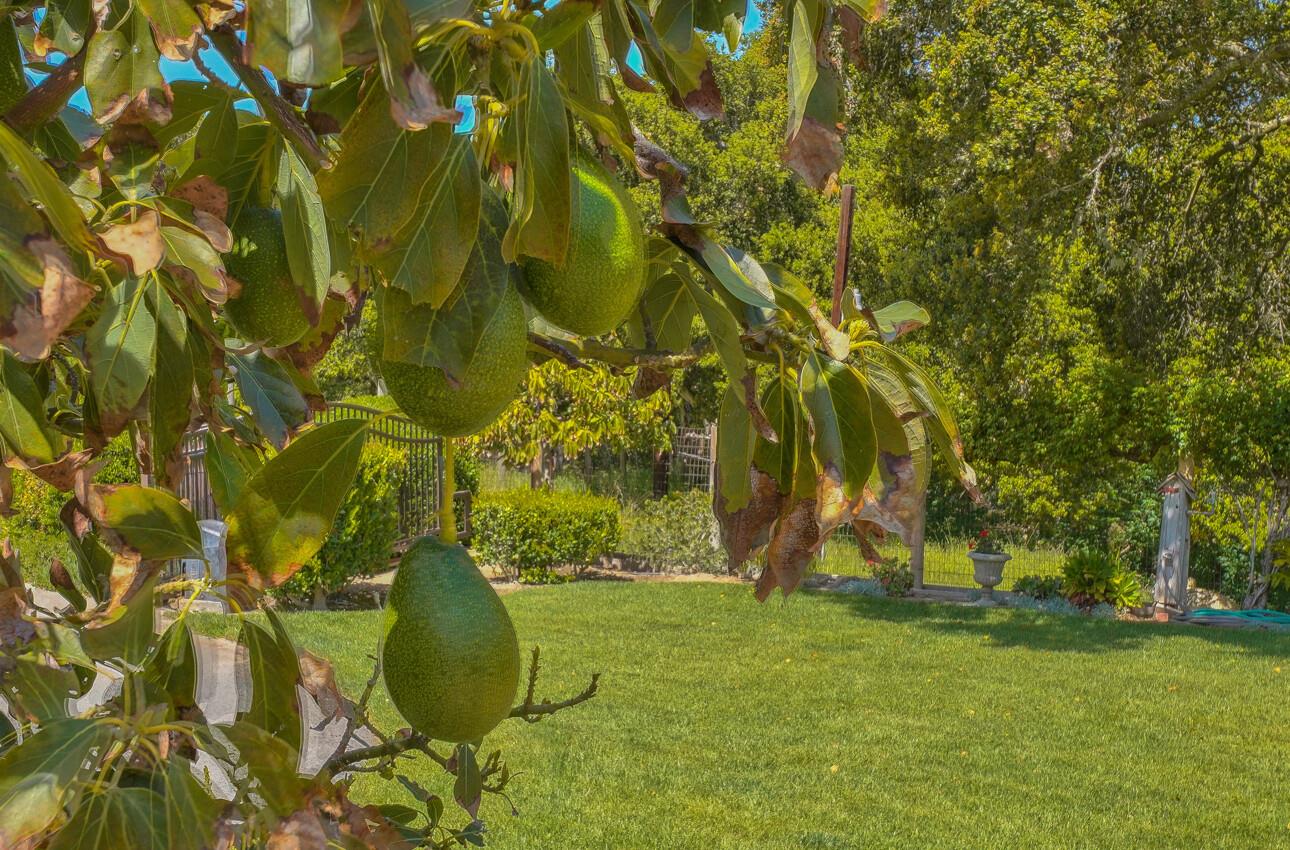 Detail Gallery Image 59 of 61 For 190 San Benancio Rd, Salinas,  CA 93908 - 4 Beds | 4 Baths