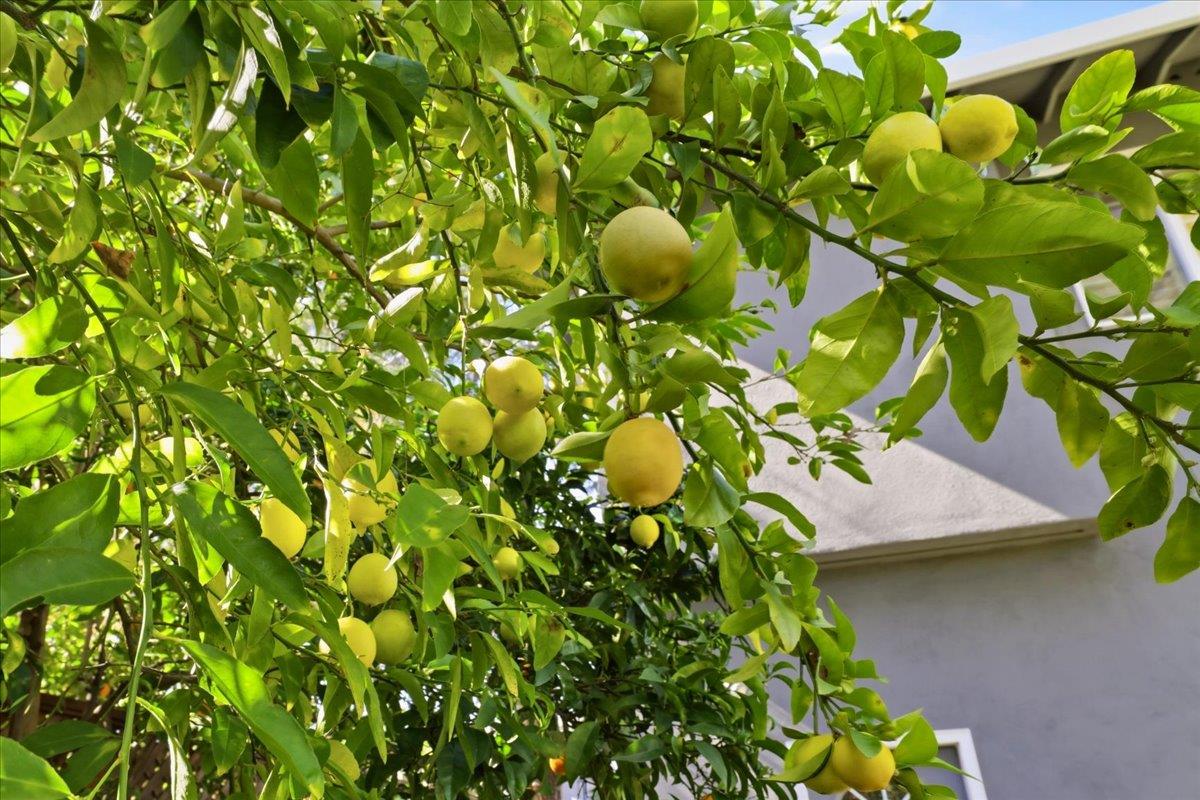 Detail Gallery Image 37 of 43 For 612 Hudson St, Redwood City,  CA 94061 - 4 Beds | 3 Baths