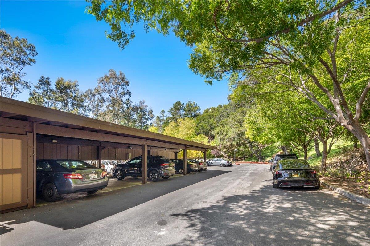 Detail Gallery Image 24 of 24 For 3378 Brittan Ave #16,  San Carlos,  CA 94070 - 2 Beds | 2 Baths