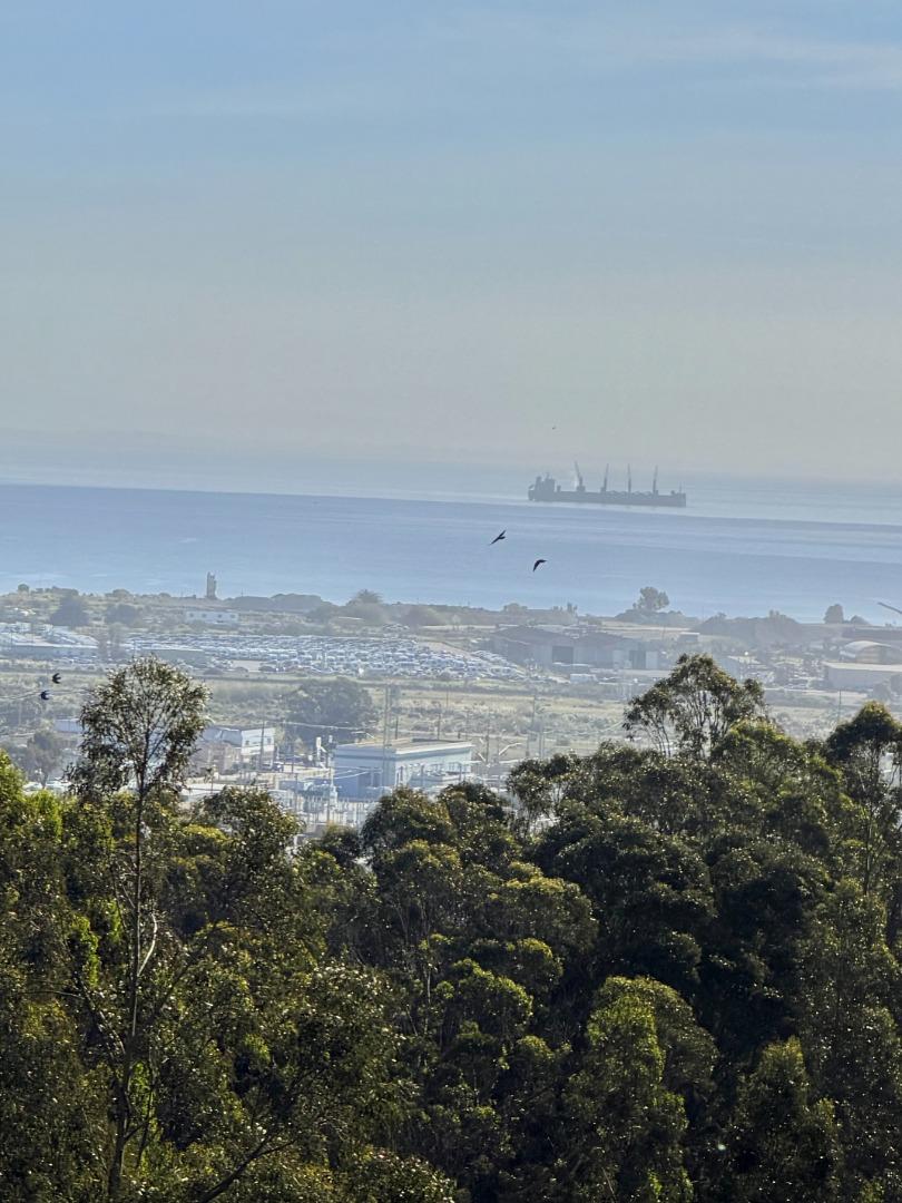 Detail Gallery Image 25 of 25 For 828 Steve Courter Way, Daly City,  CA 94014 - 3 Beds | 2/1 Baths