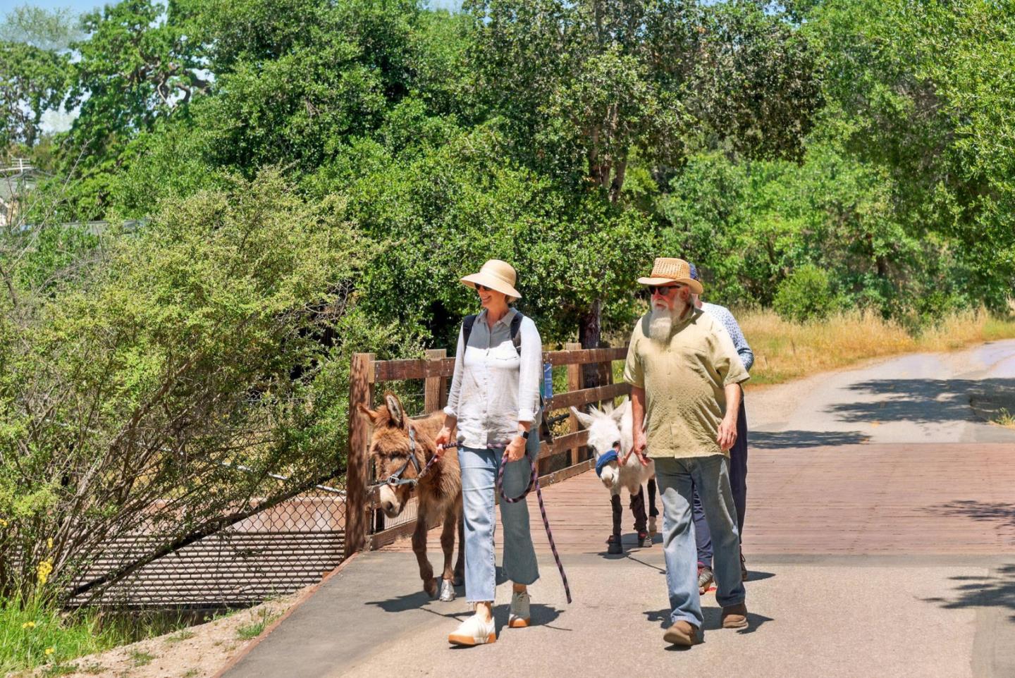 Detail Gallery Image 46 of 52 For 750 Los Robles Ave, Palo Alto,  CA 94306 - 3 Beds | 2 Baths