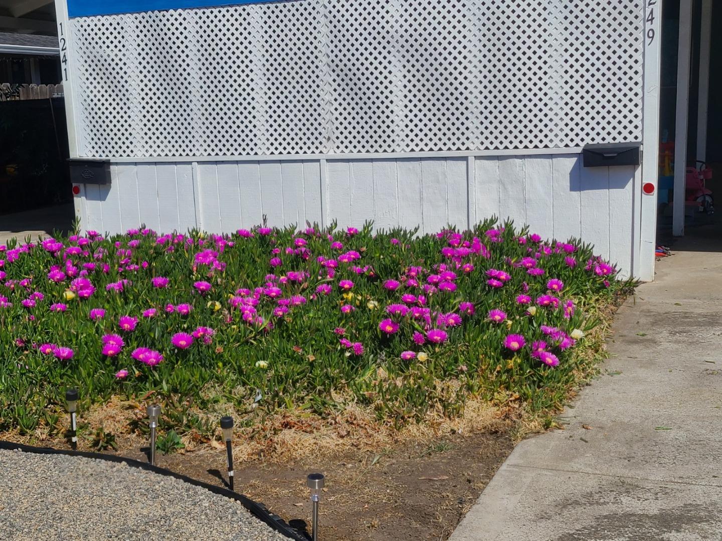 Detail Gallery Image 30 of 38 For 1241-1249 Beacon St, Pittsburg,  CA 94565 - – Beds | – Baths