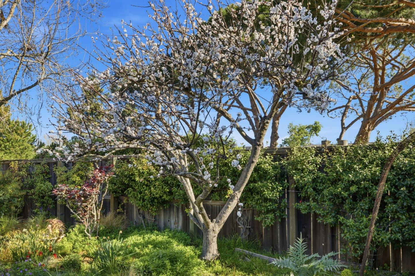 Detail Gallery Image 32 of 36 For 572 Seahorse Ln, Redwood Shores,  CA 94065 - 3 Beds | 2 Baths