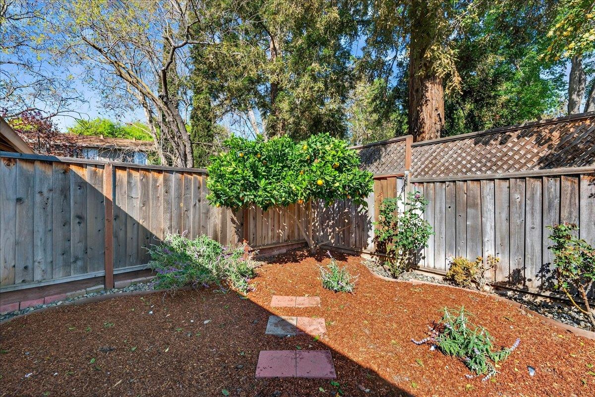 Detail Gallery Image 29 of 44 For 501 Sanger Way, San Jose,  CA 95125 - 3 Beds | 1 Baths