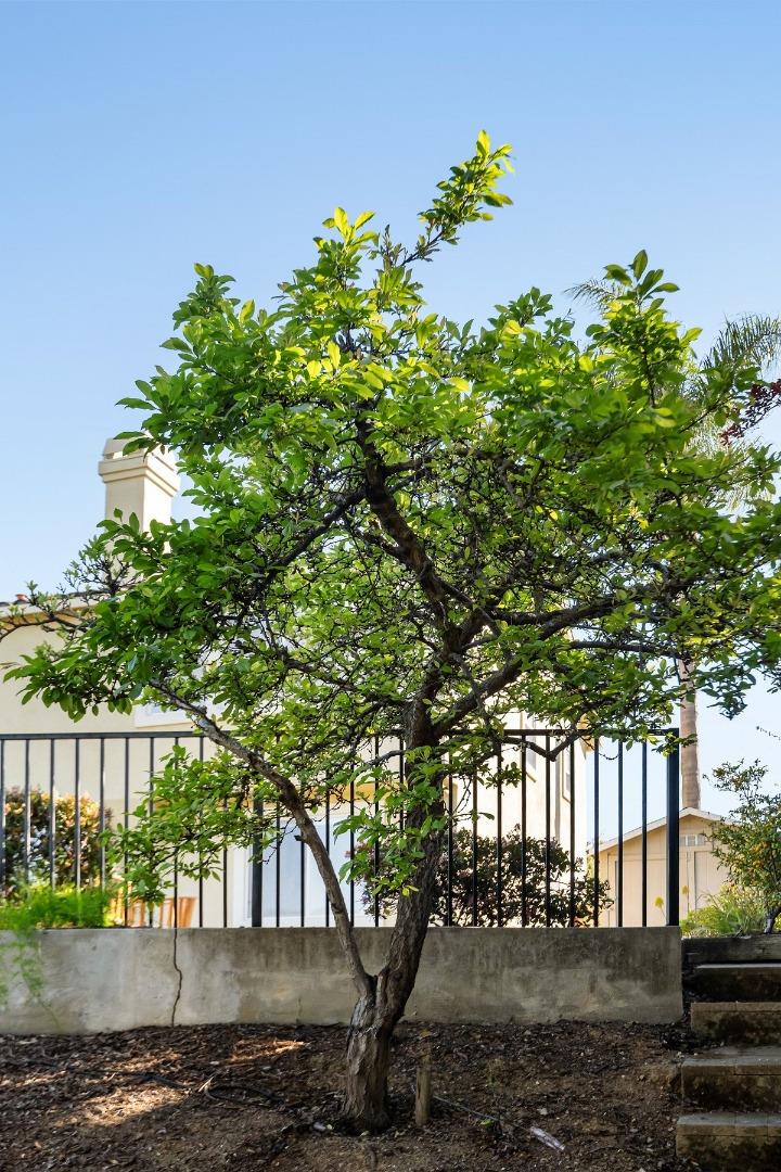 Detail Gallery Image 82 of 103 For 2231 Quail Bluff Ct, San Jose,  CA 95121 - 4 Beds | 4 Baths