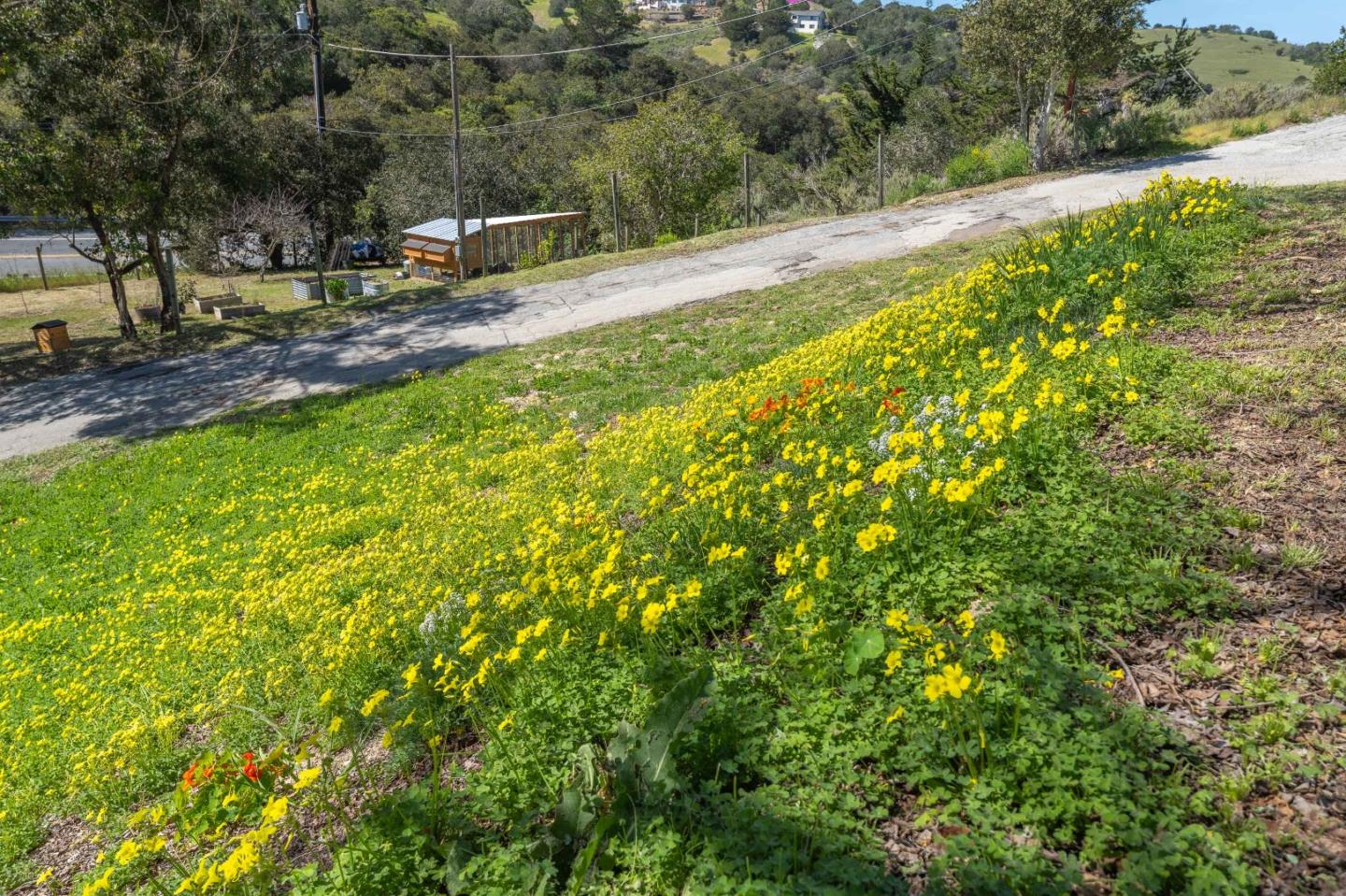 Detail Gallery Image 26 of 36 For 77 Laureles Grade, Salinas,  CA 93908 - 4 Beds | 3 Baths